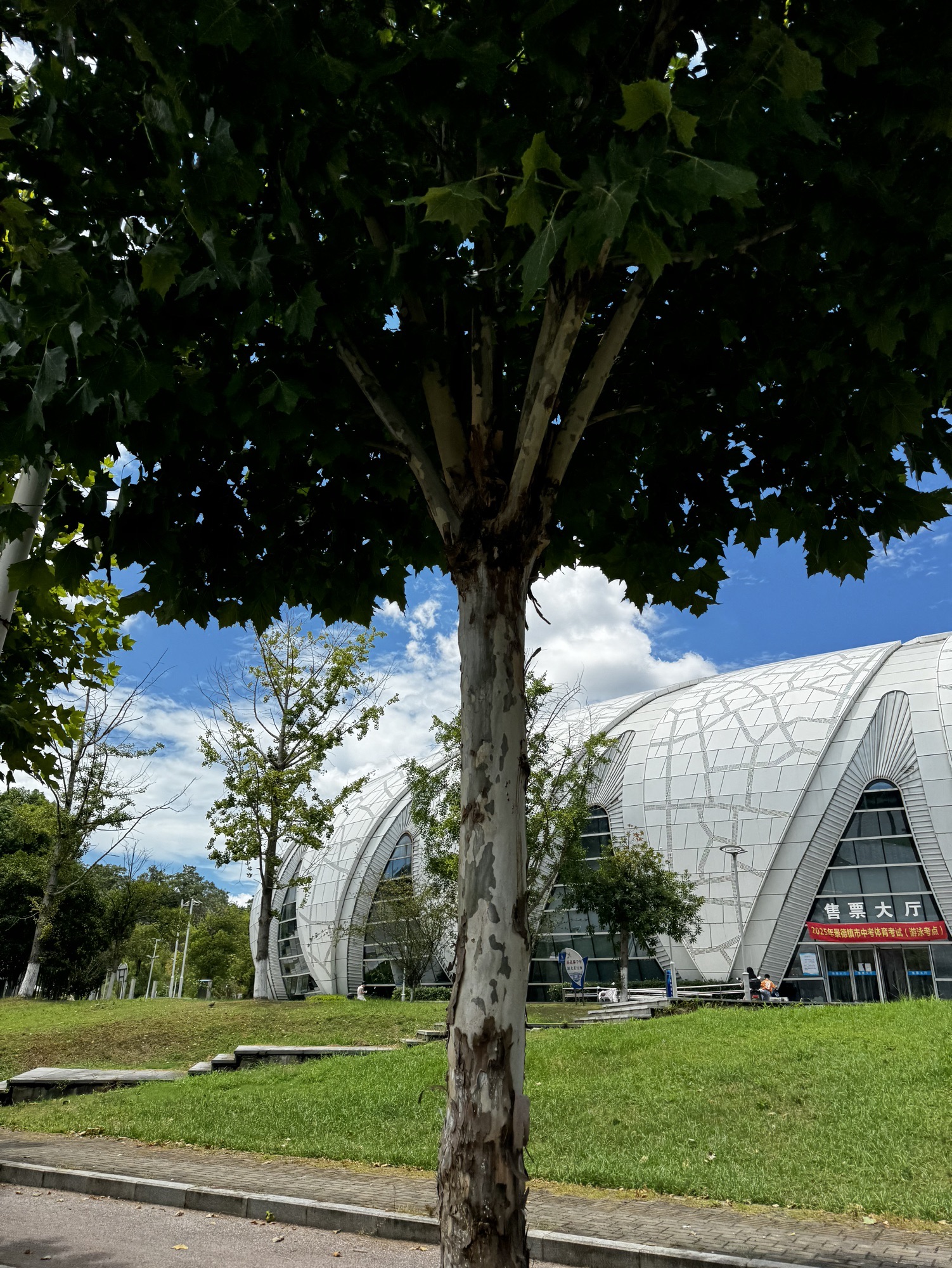 景德镇市景东游泳馆