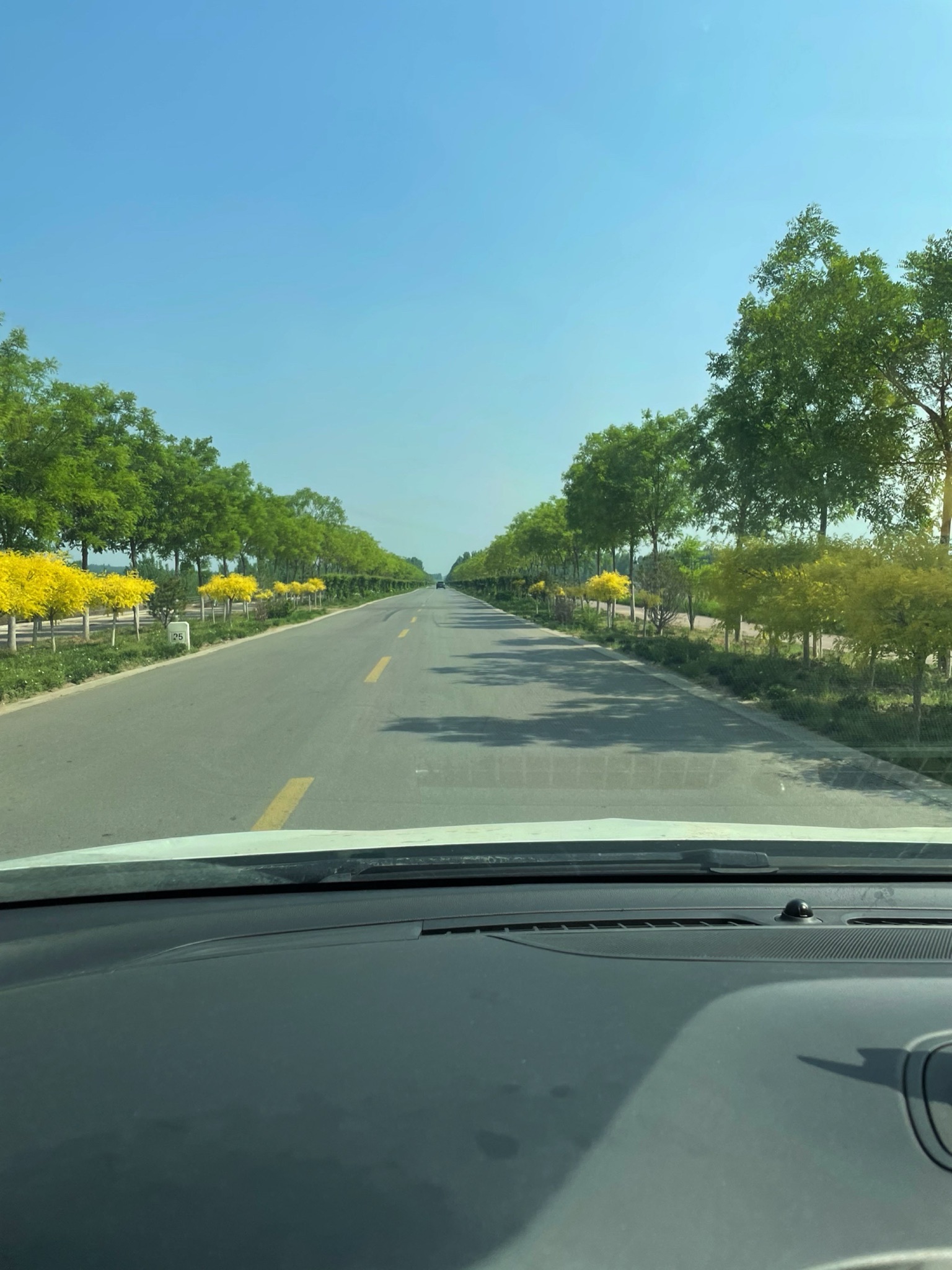 牛王寨风景区旅行图片 1