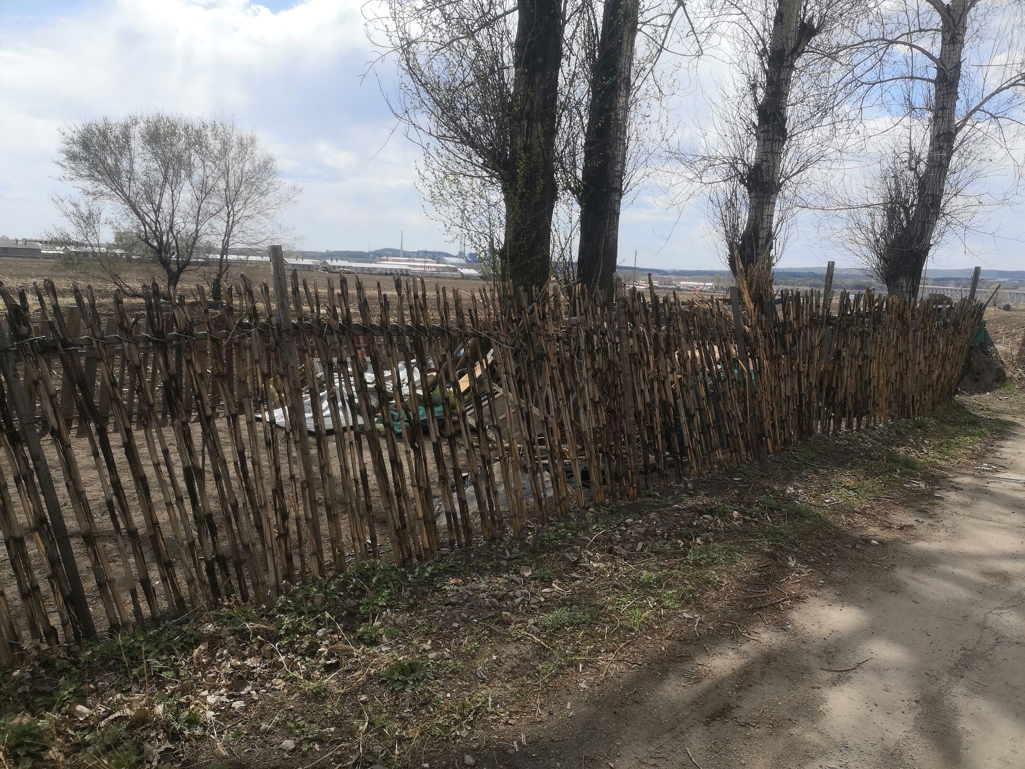 鹿林山公园旅行图片 1