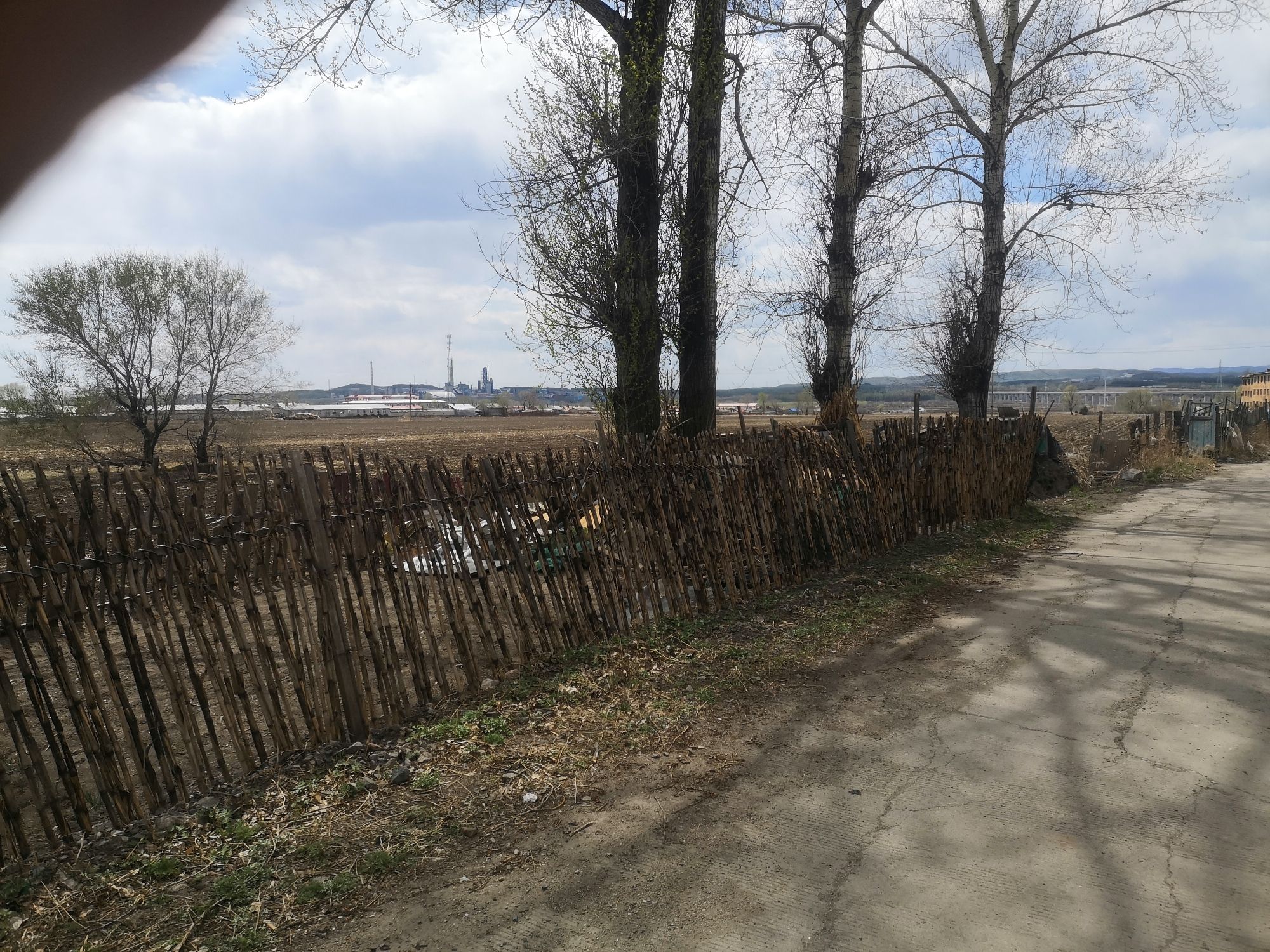鹿林山公园旅行图片 2