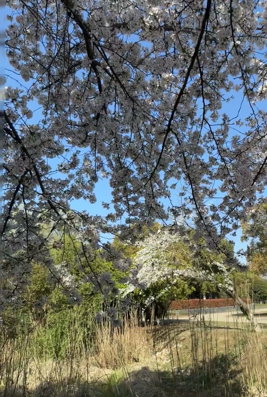 葫芦岛芙蓉生态园旅行图片 1