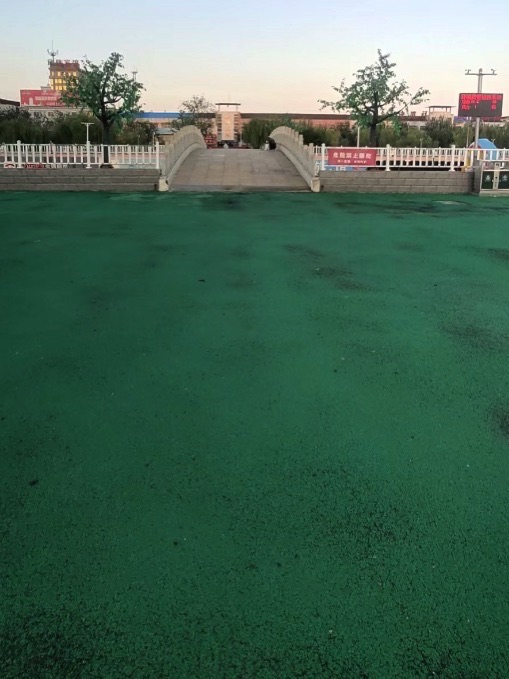 兰城丽景广场旅行图片 2