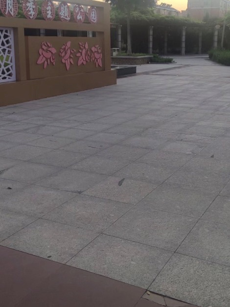 兰城丽景广场旅行图片 3