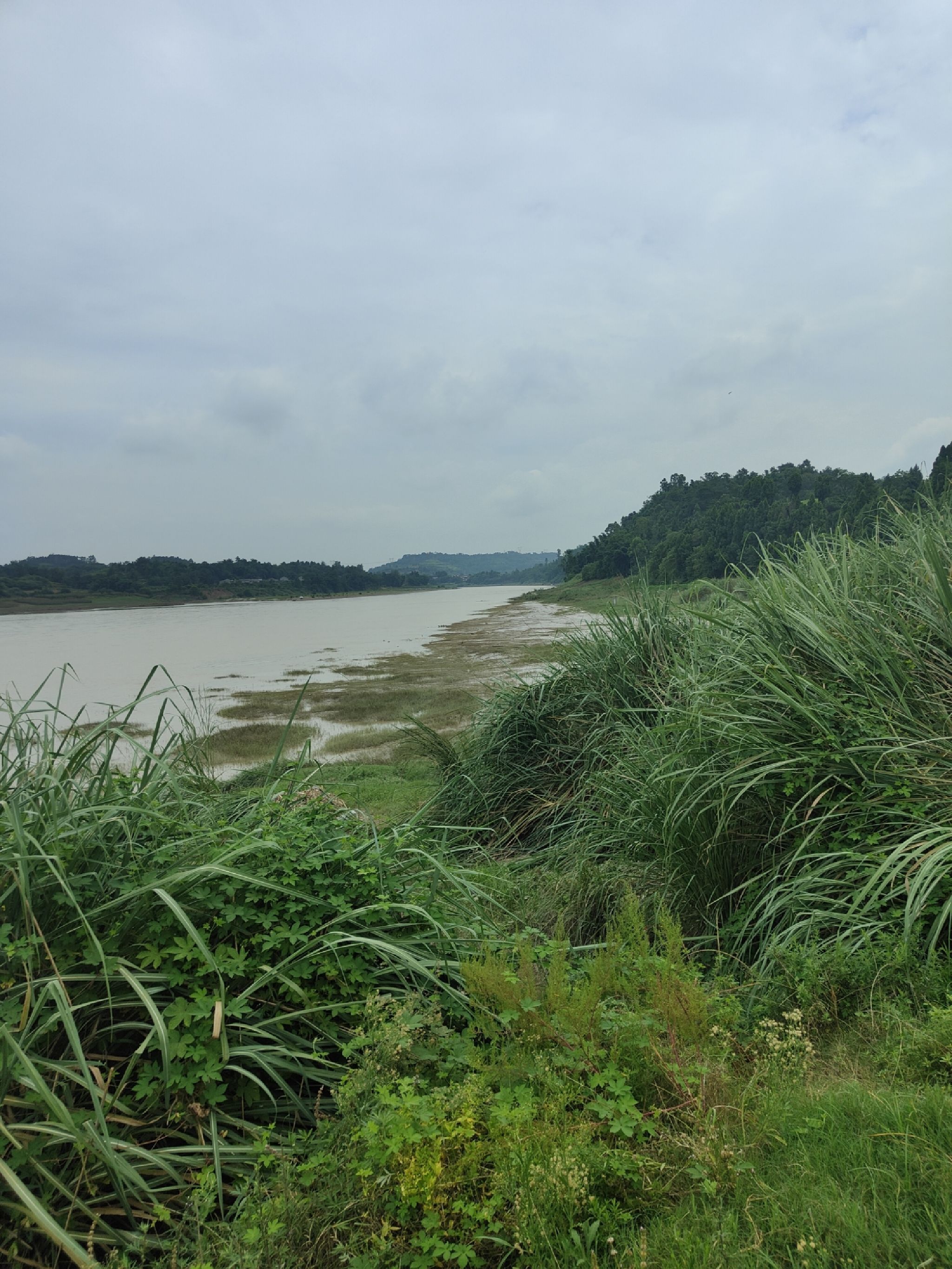 白鹭洲原生态草原旅行图片 1