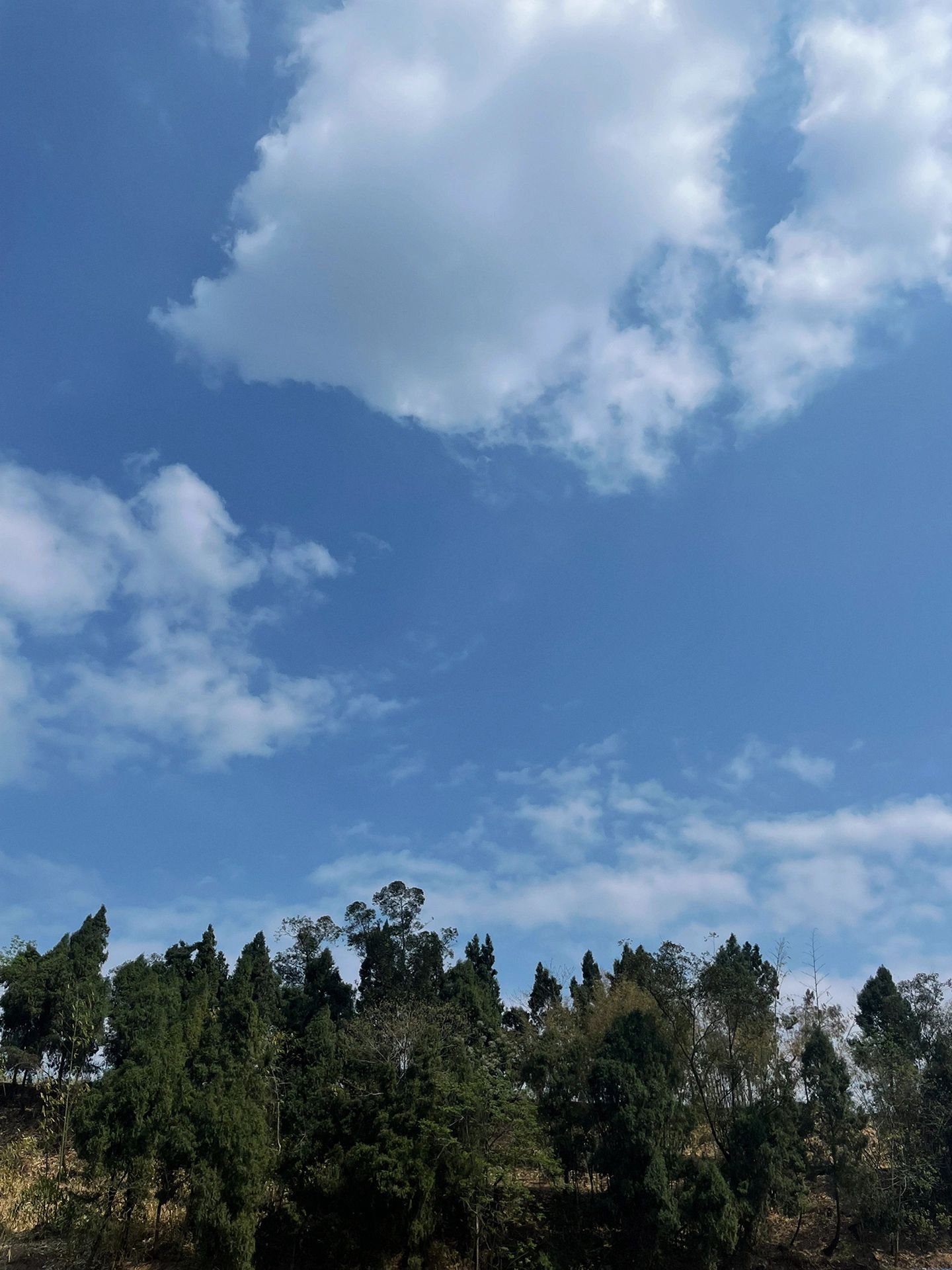 白鹭洲原生态草原旅行图片 1
