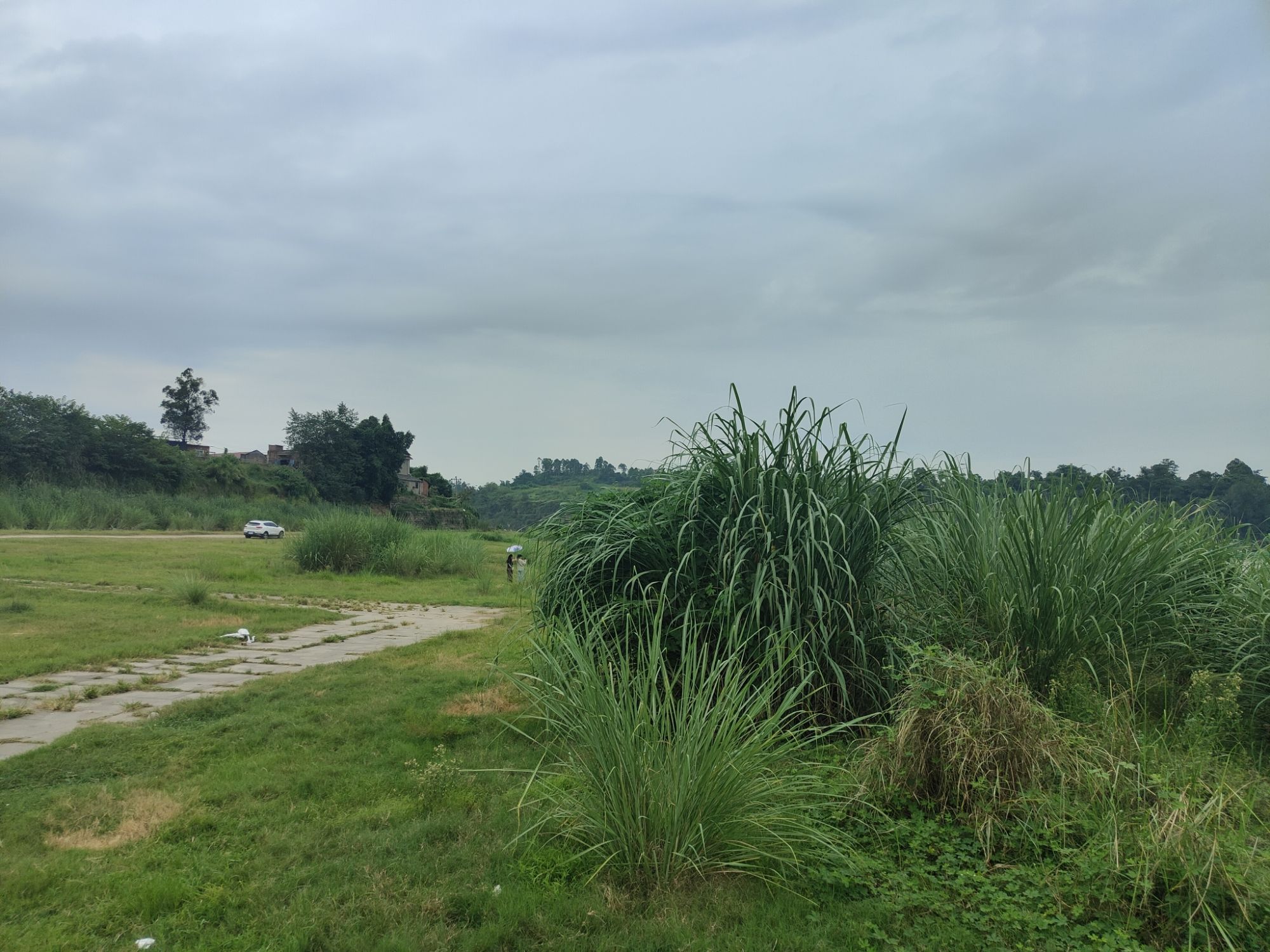 白鹭洲原生态草原旅行图片 3