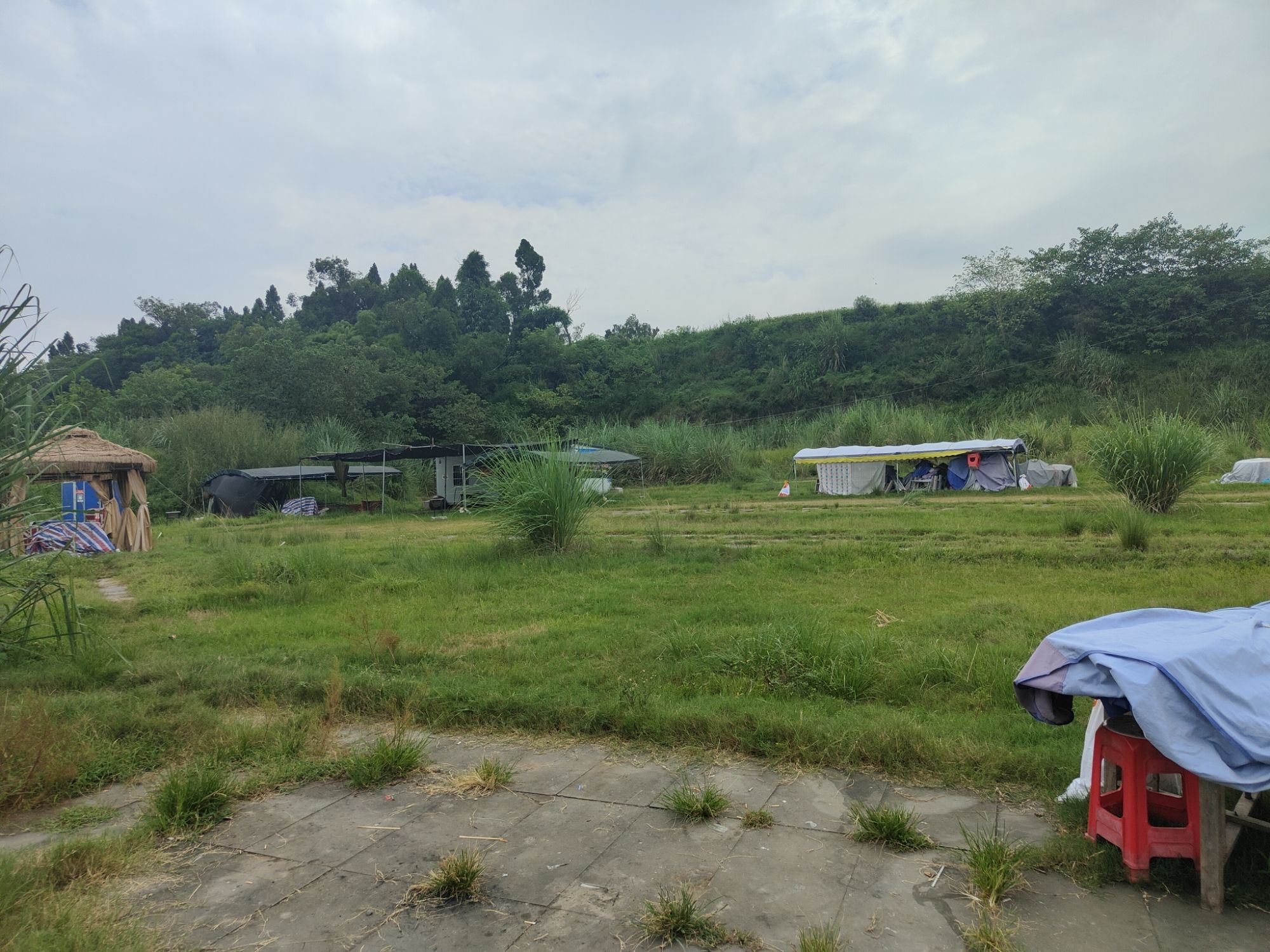 白鹭洲原生态草原旅行图片 2