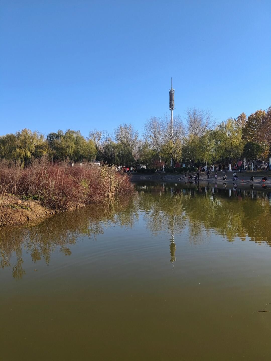 白鹭洲原生态草原旅行图片 3