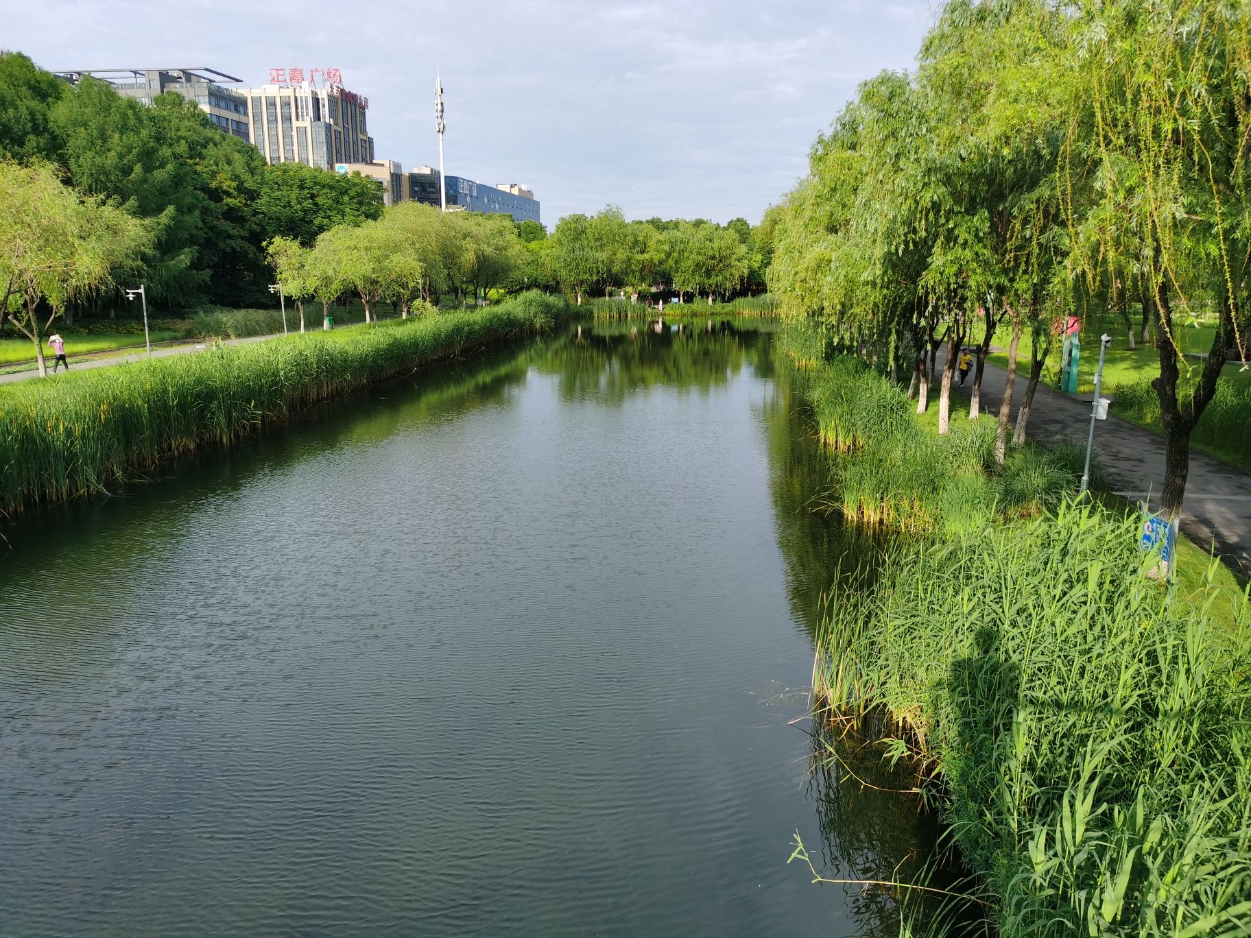 中江公园旅行图片 1