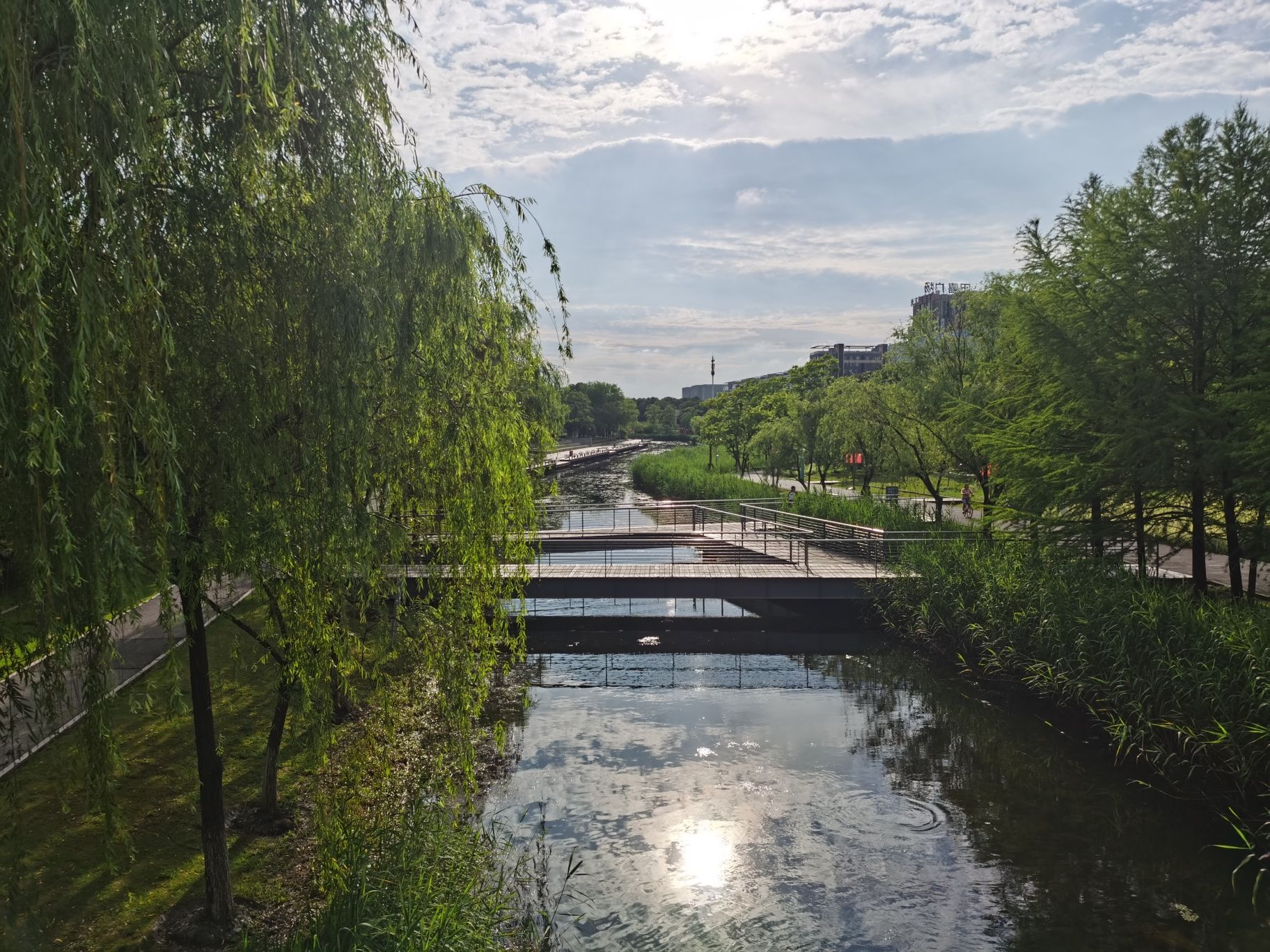 中江公园旅行图片 2