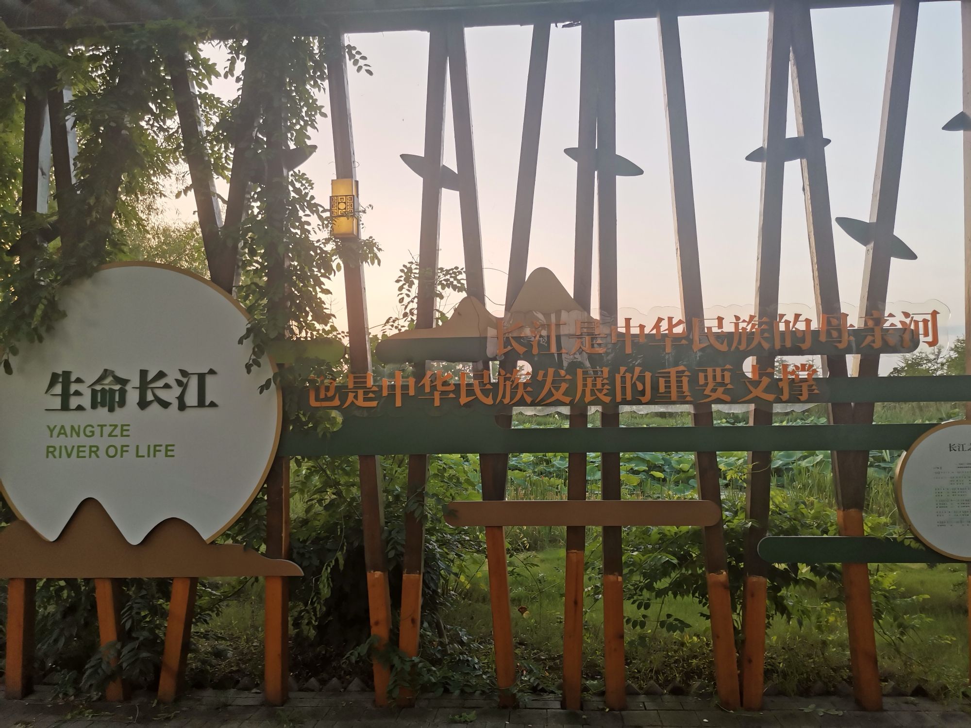 泰兴长江生态湿地与绿色廊道旅行图片 1
