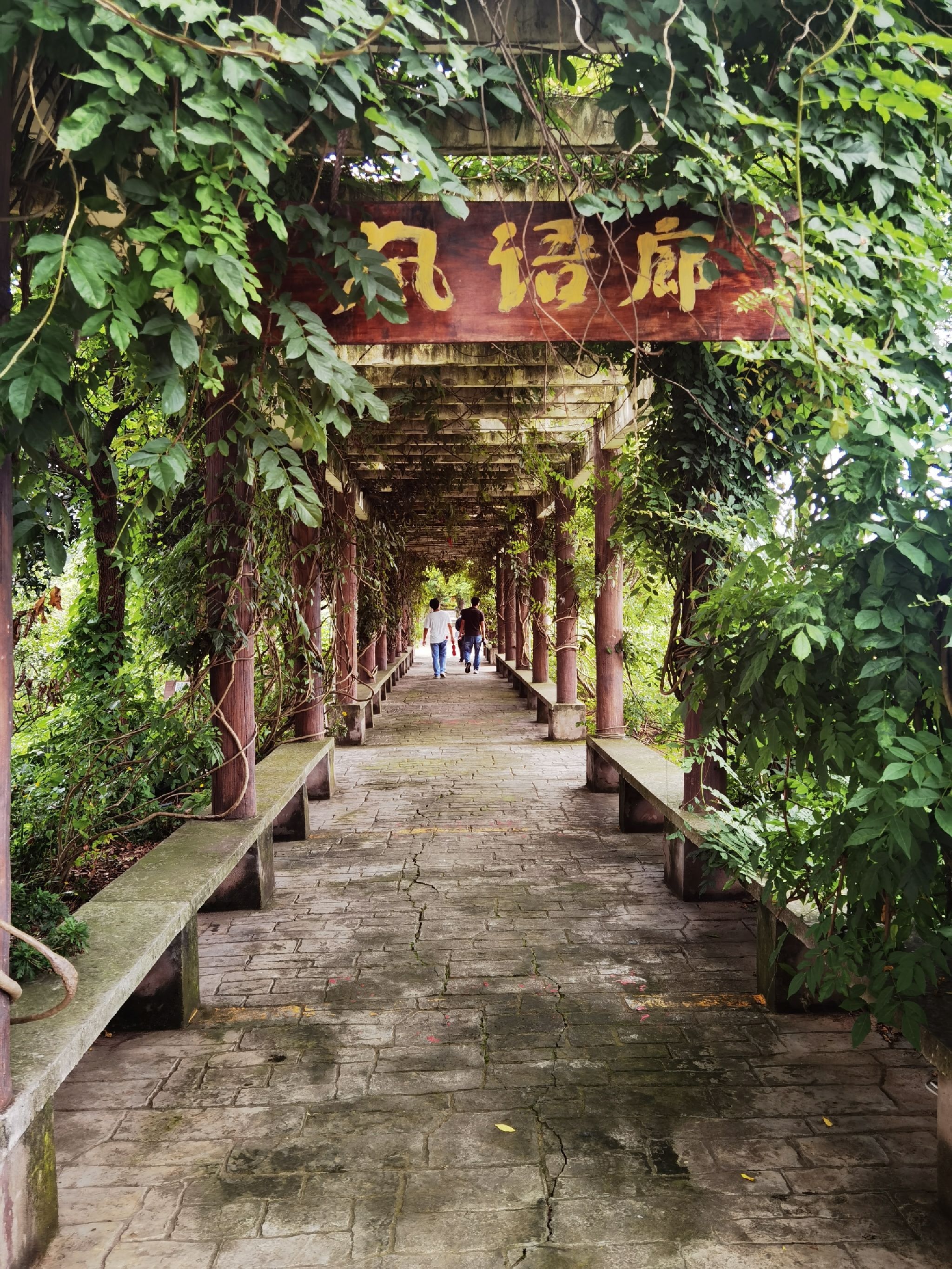 长寿慢城旅行图片 3