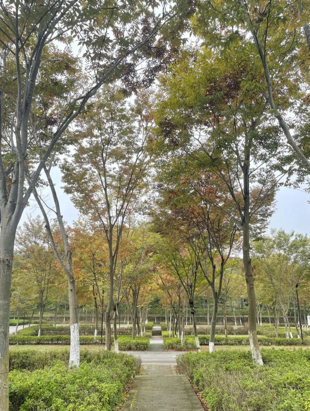 长寿慢城旅行图片 3