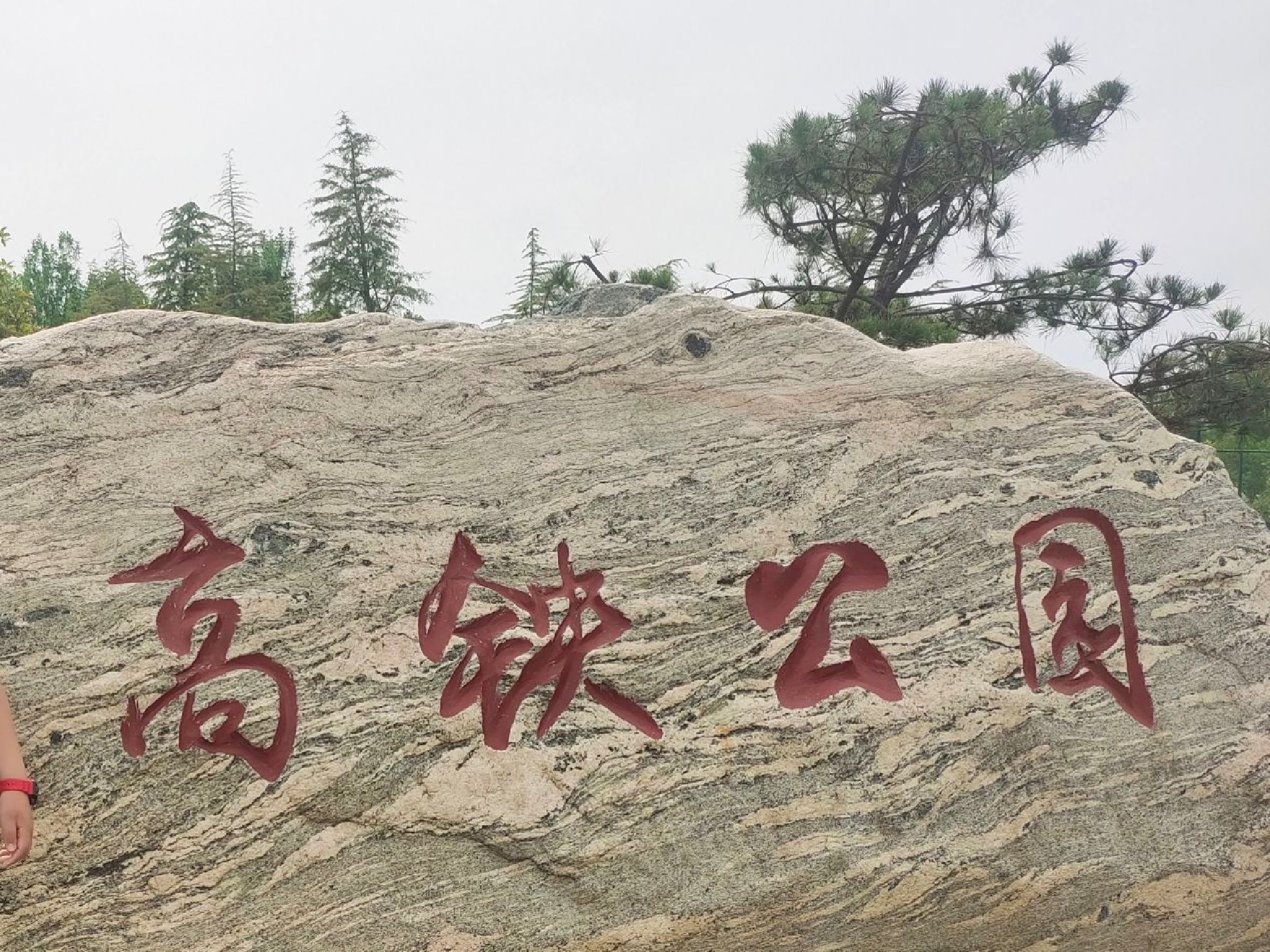 高铁公园旅行图片 1