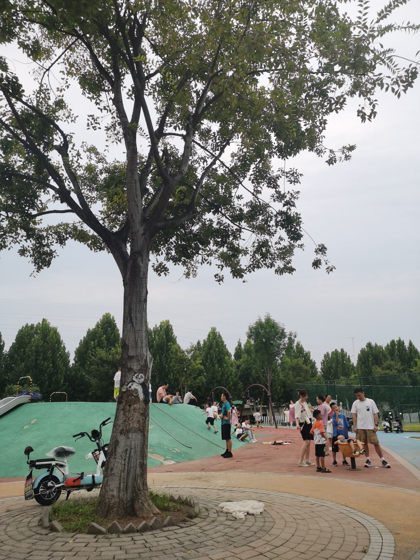 高铁公园旅行图片 3