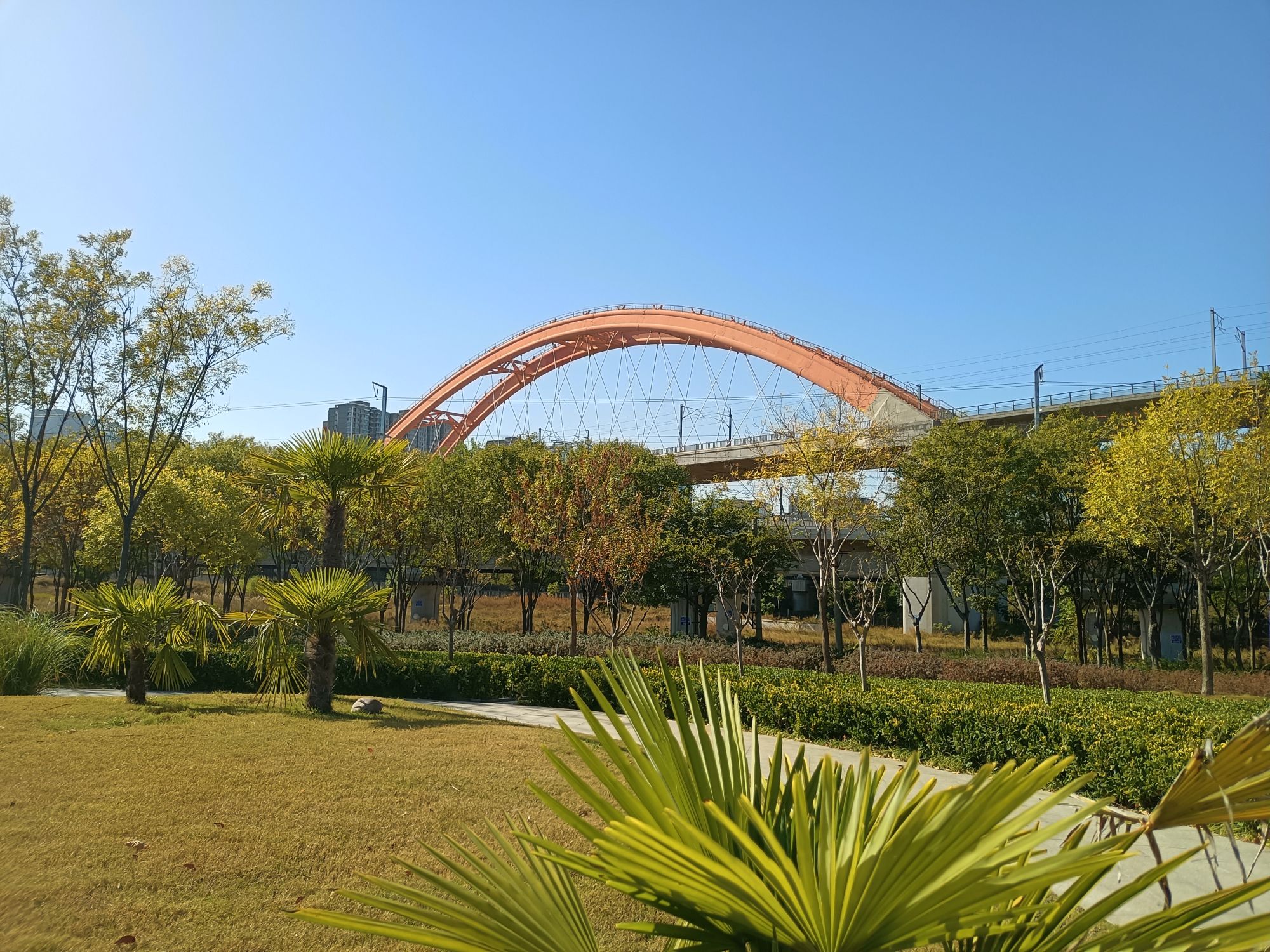 高铁公园旅行图片 3