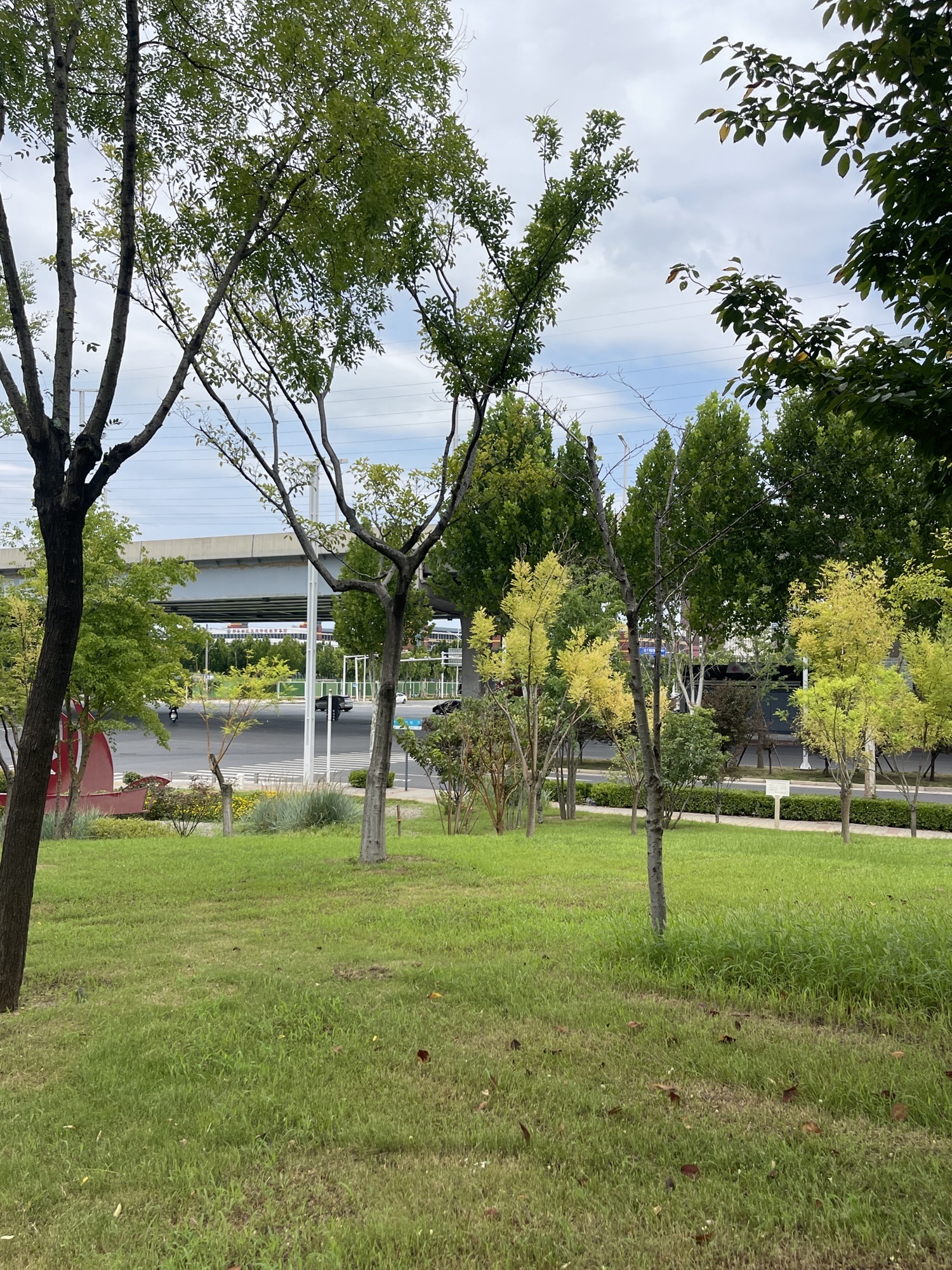高铁公园旅行图片 3