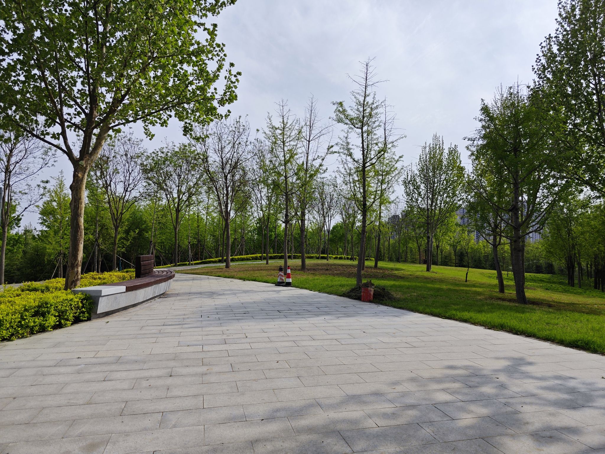 高铁公园旅行图片 1