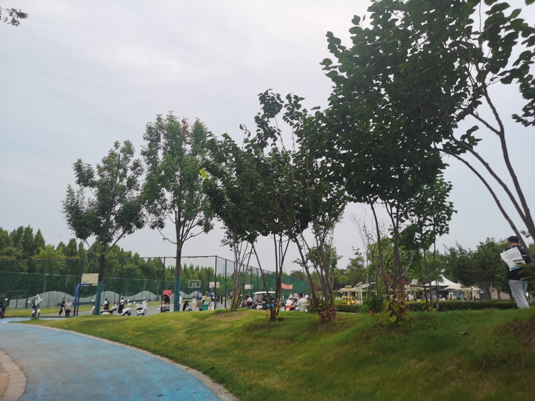 高铁公园旅行图片 1