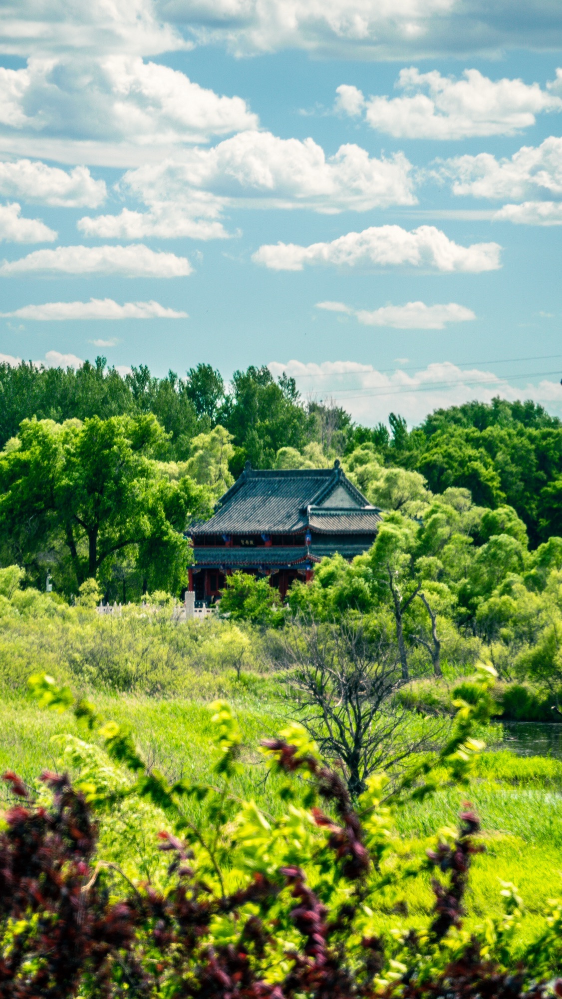 中东铁路水上公园旅行图片 3