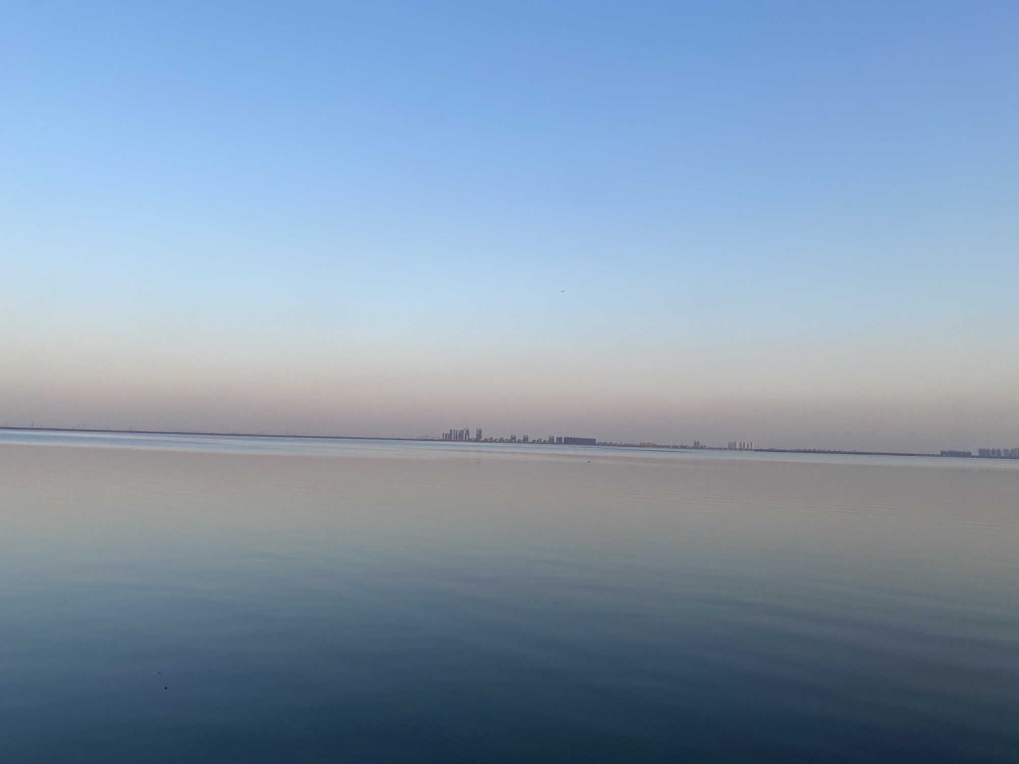团泊湖鸟类自然保护区旅行图片 2