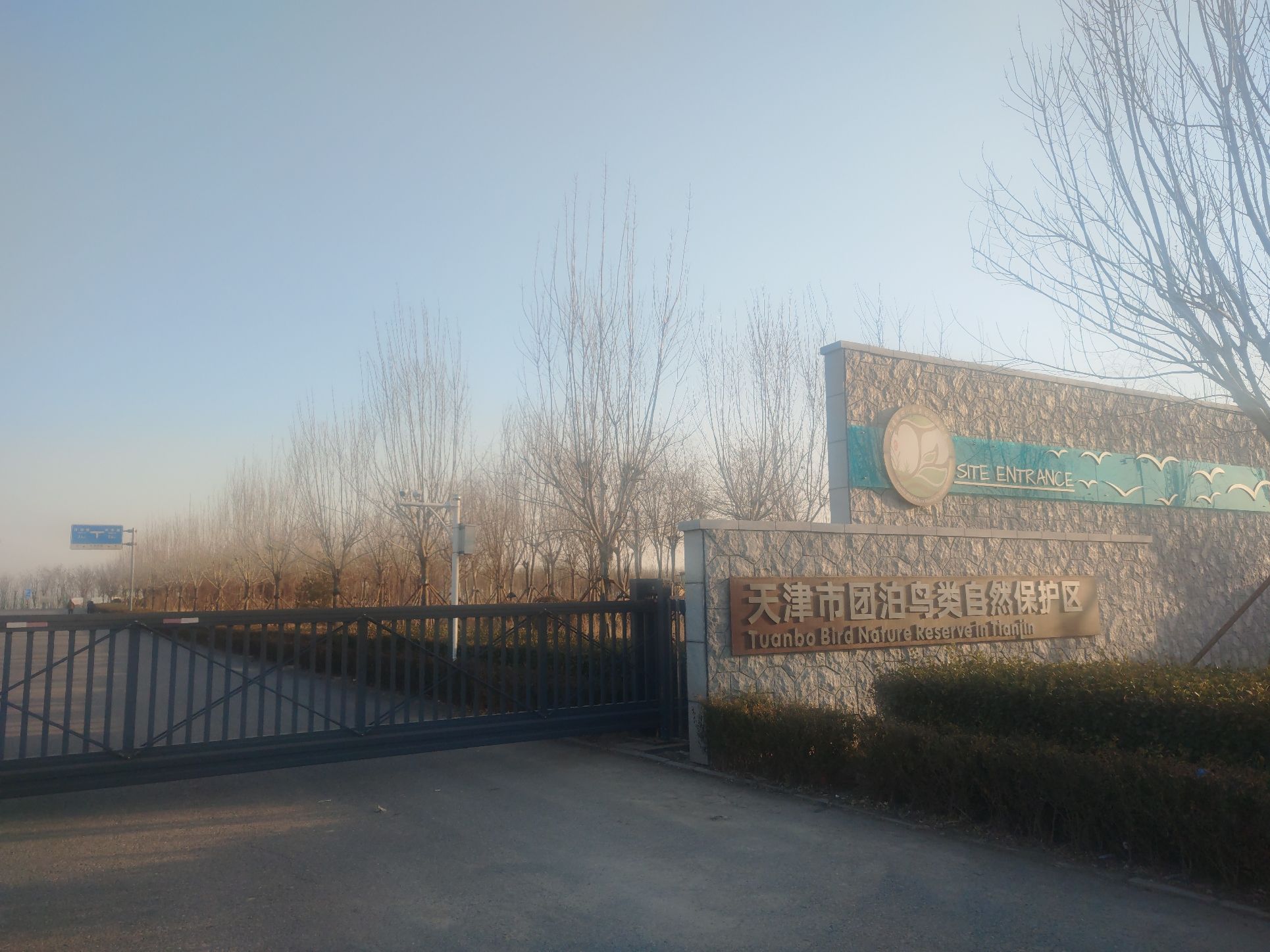 团泊湖鸟类自然保护区旅行图片 1