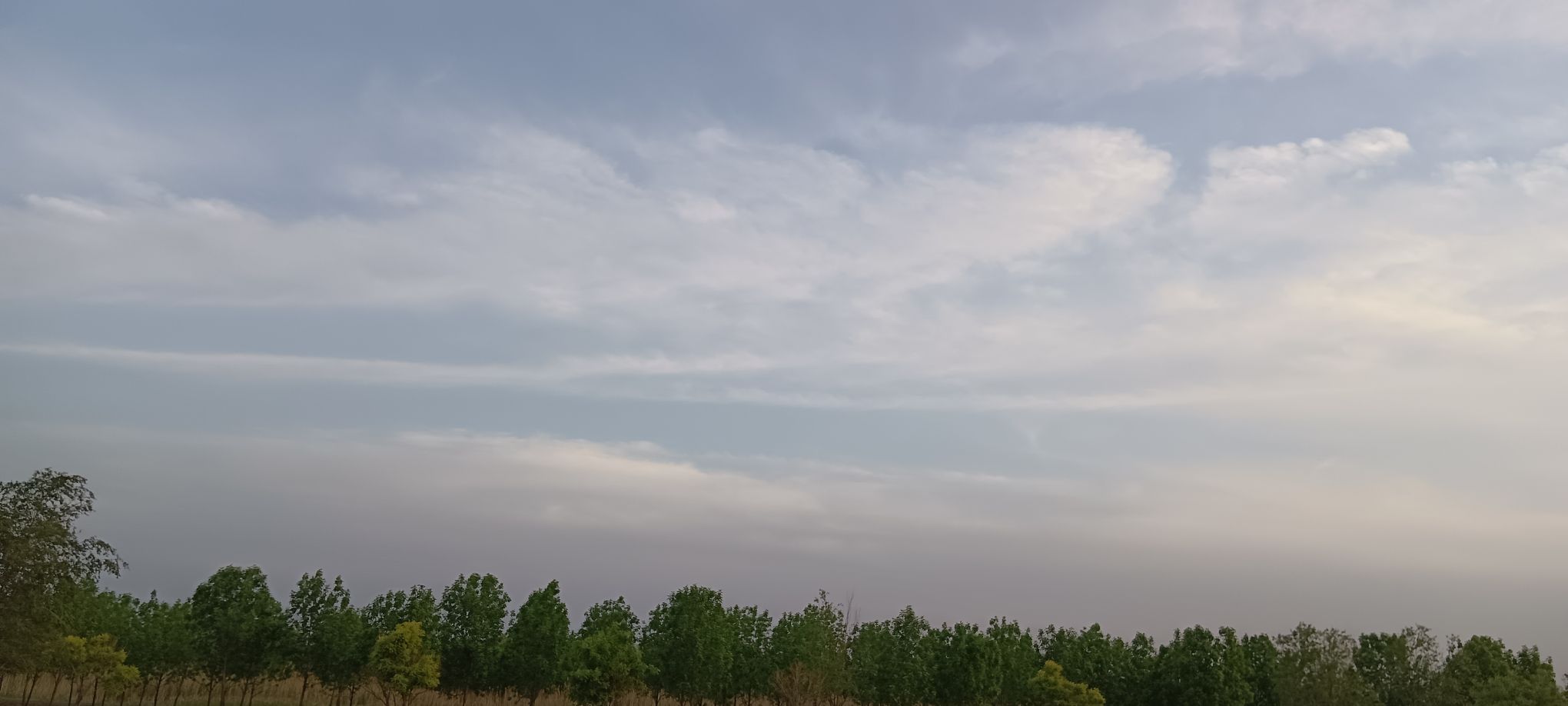 团泊湖鸟类自然保护区旅行图片 3