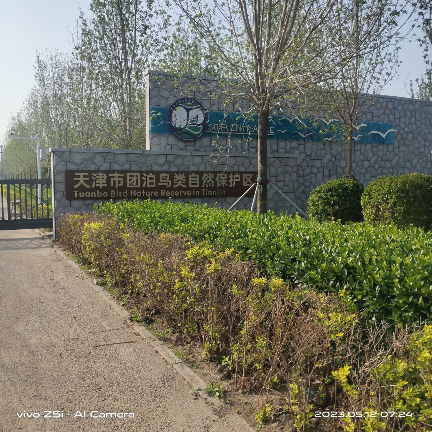 团泊湖鸟类自然保护区旅行图片 2