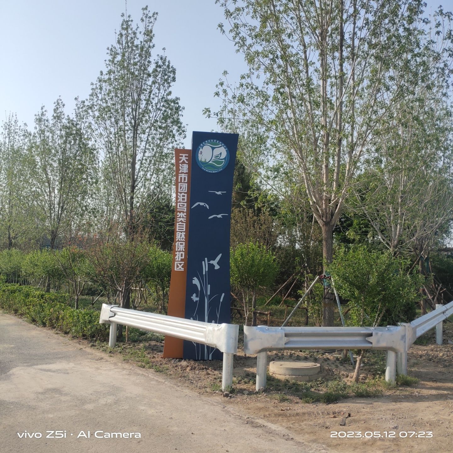 团泊湖鸟类自然保护区旅行图片 3