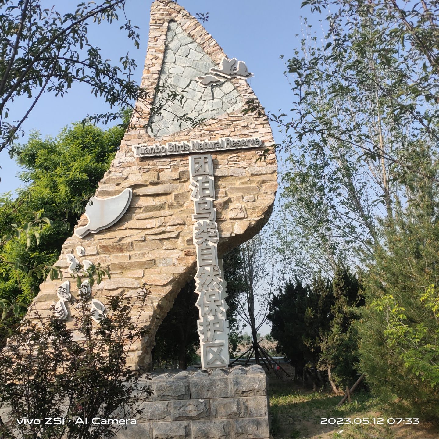 团泊湖鸟类自然保护区旅行图片 1