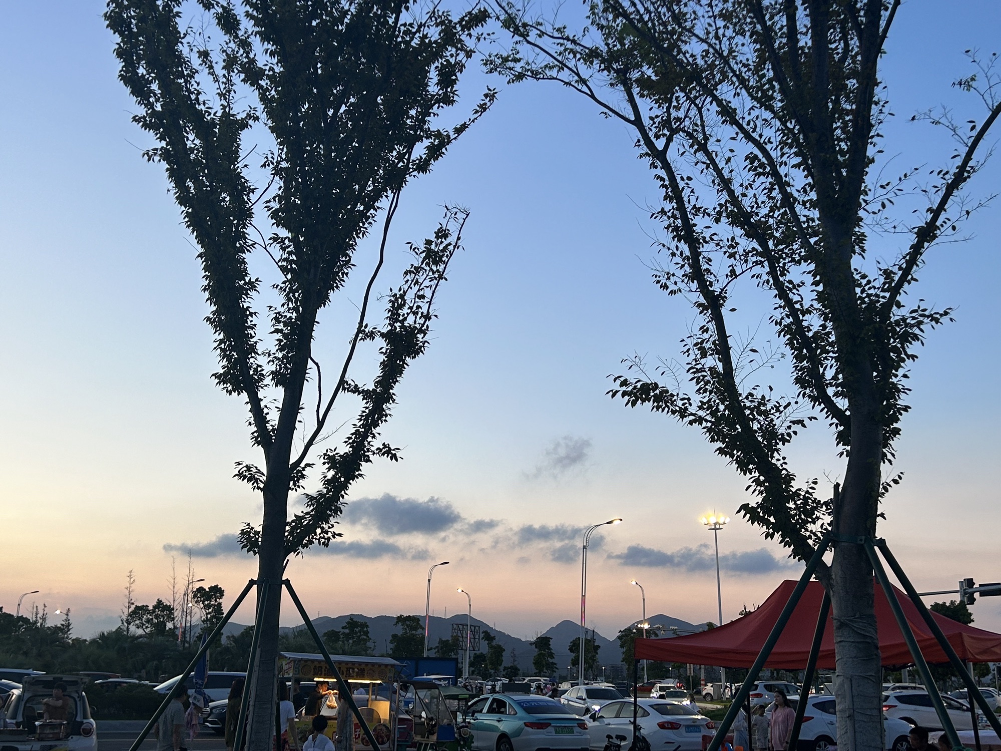 白沙湾海滨公园旅行图片 1