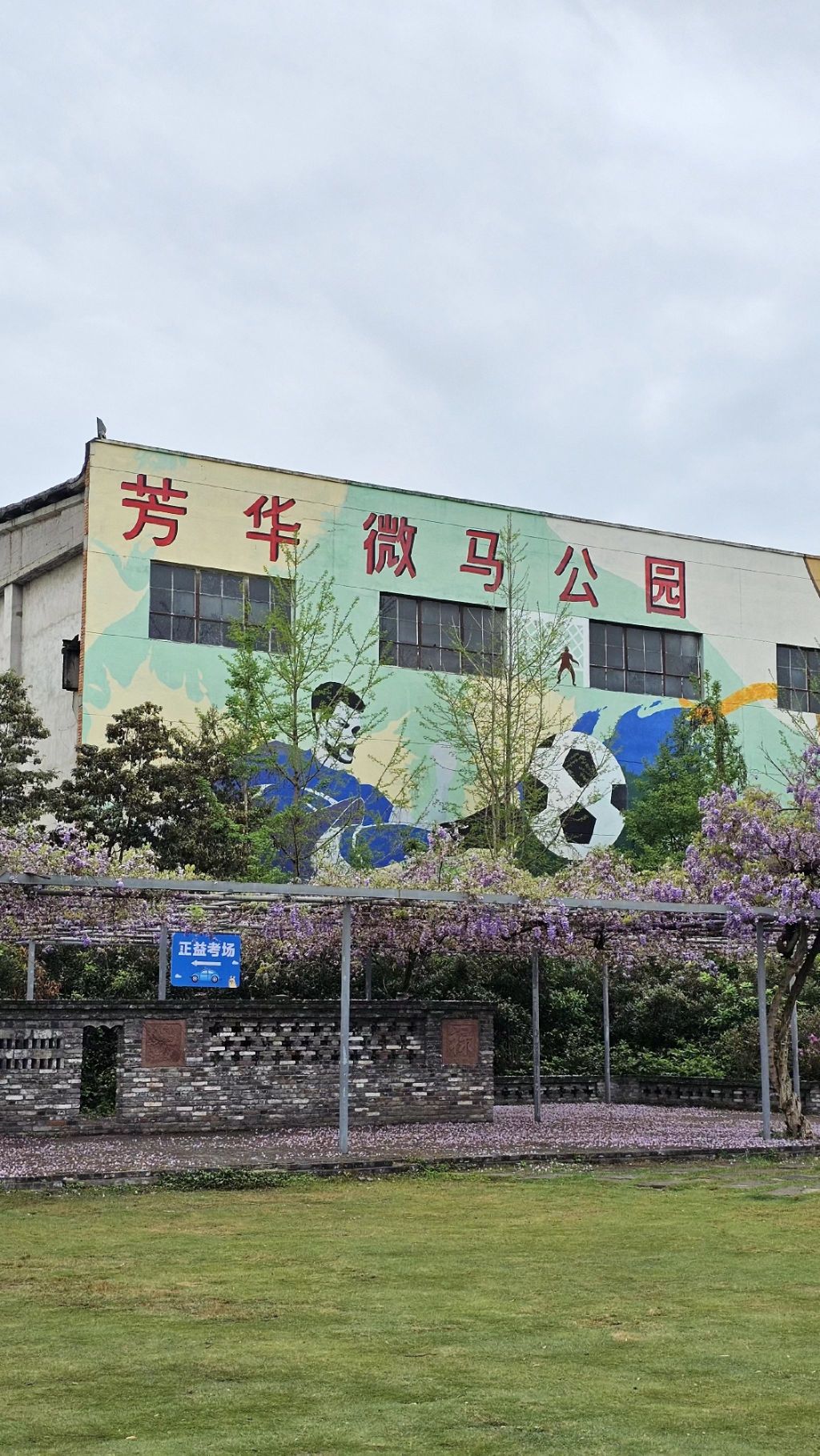 芳华微马公园旅行图片 1