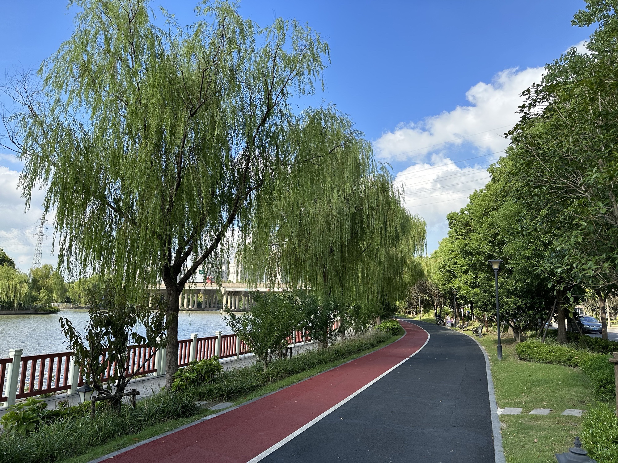 青浦春暖绿地公园旅行图片 3