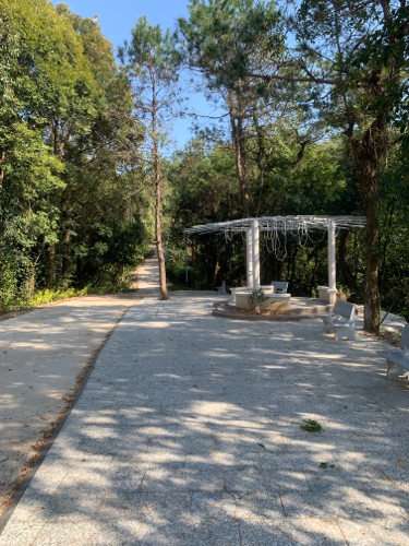 石板森林公园旅行图片 1