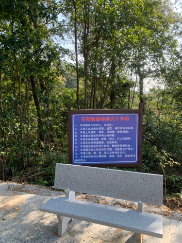 石板森林公园旅行图片 3