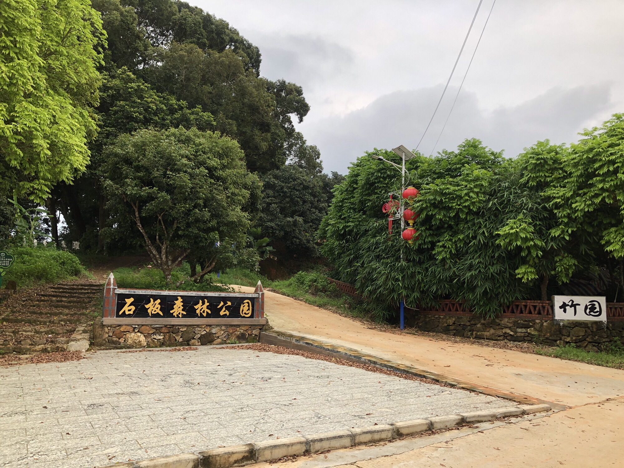 石板森林公园旅行图片 3