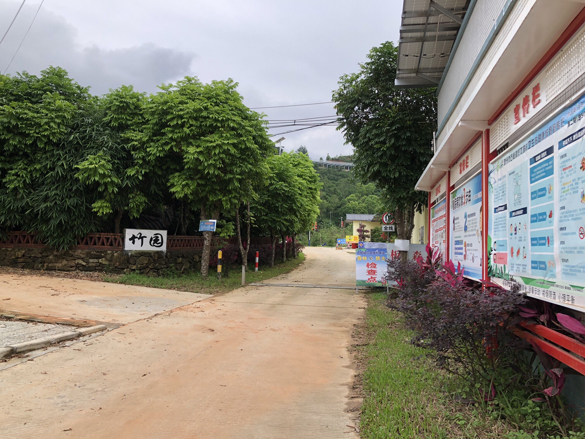 石板森林公园旅行图片 1