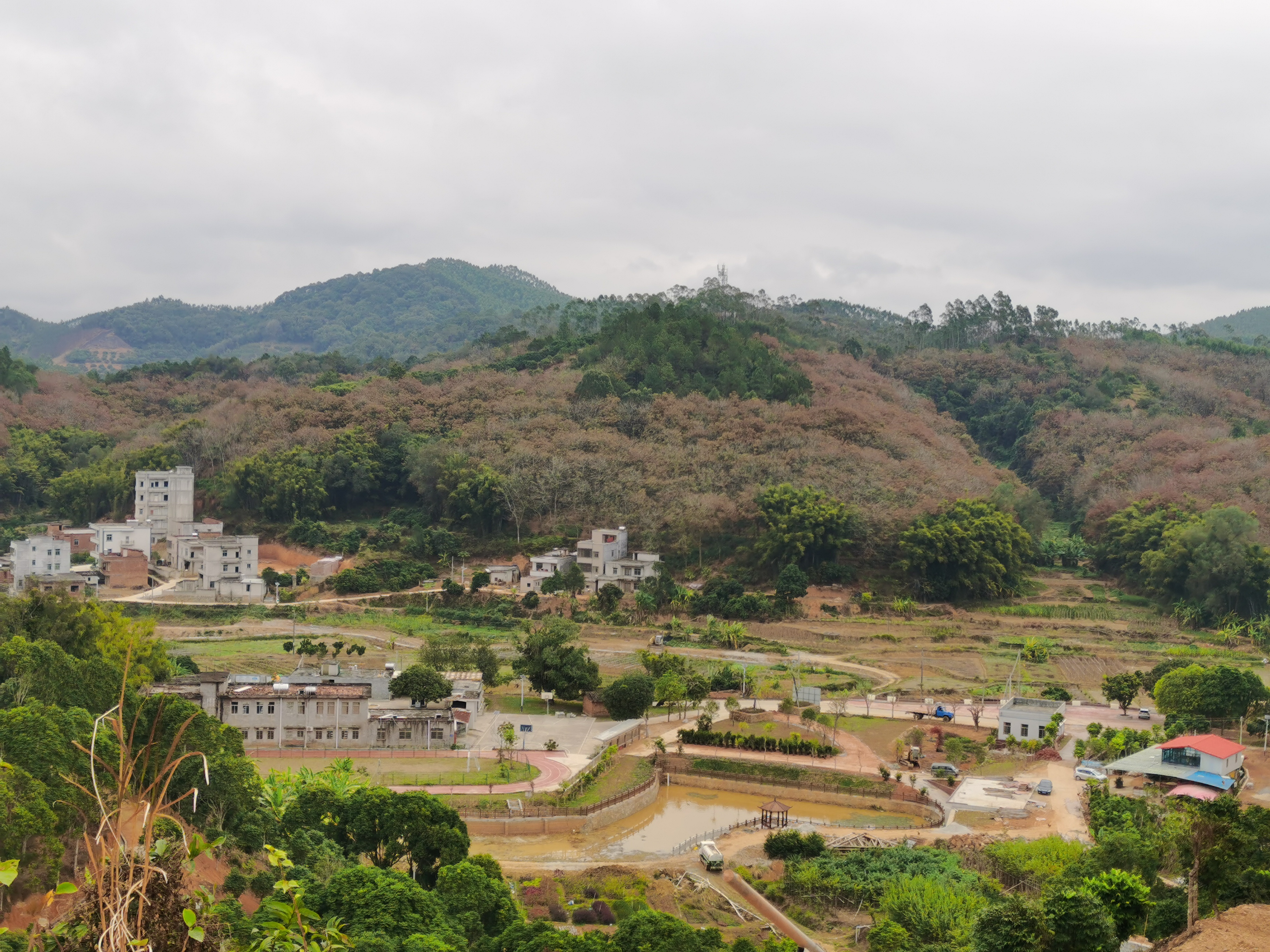 石板森林公园旅行图片 2