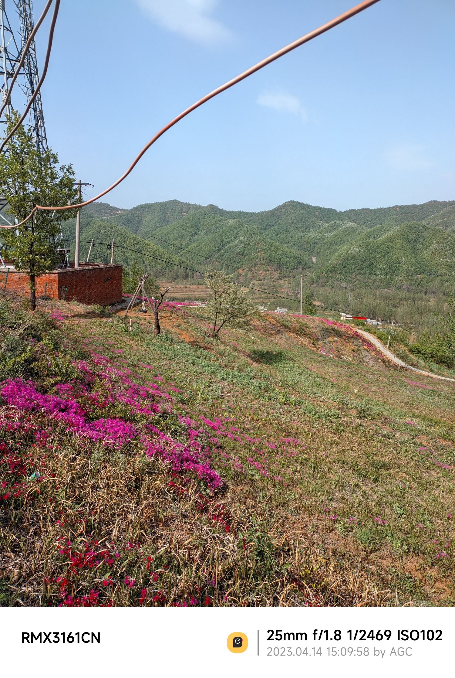 里仁花海旅行图片 1