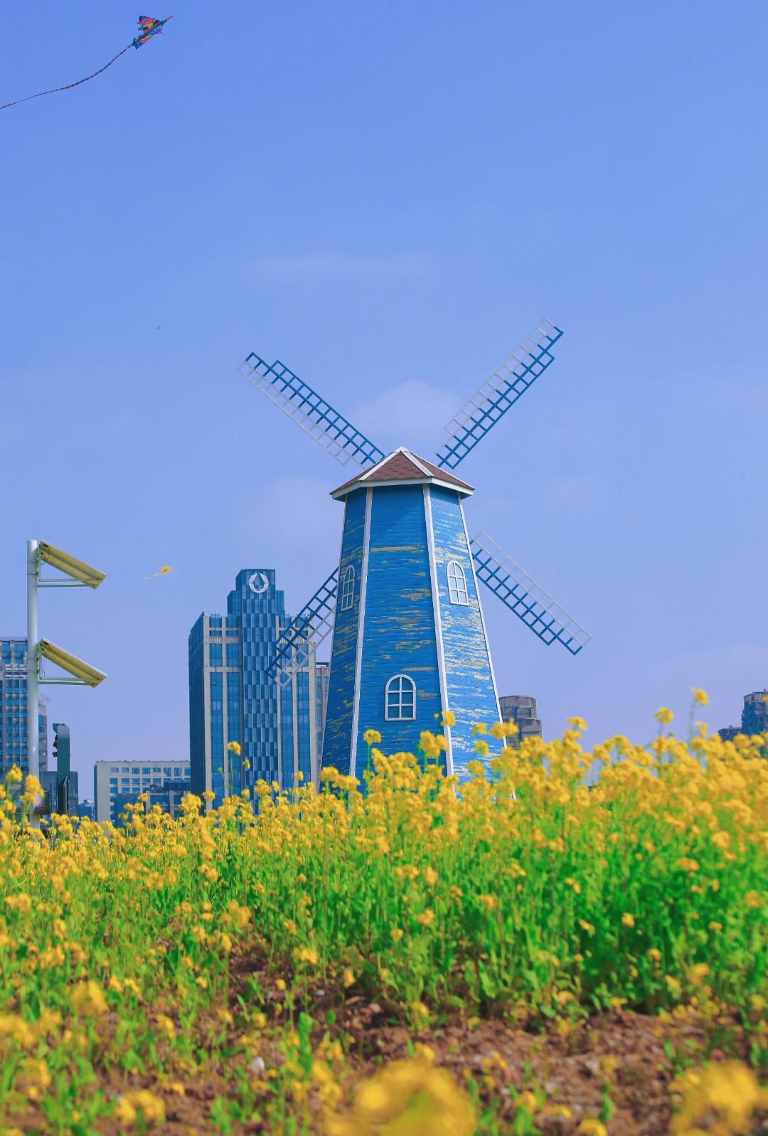 马兰圩湿地公园旅行图片 3