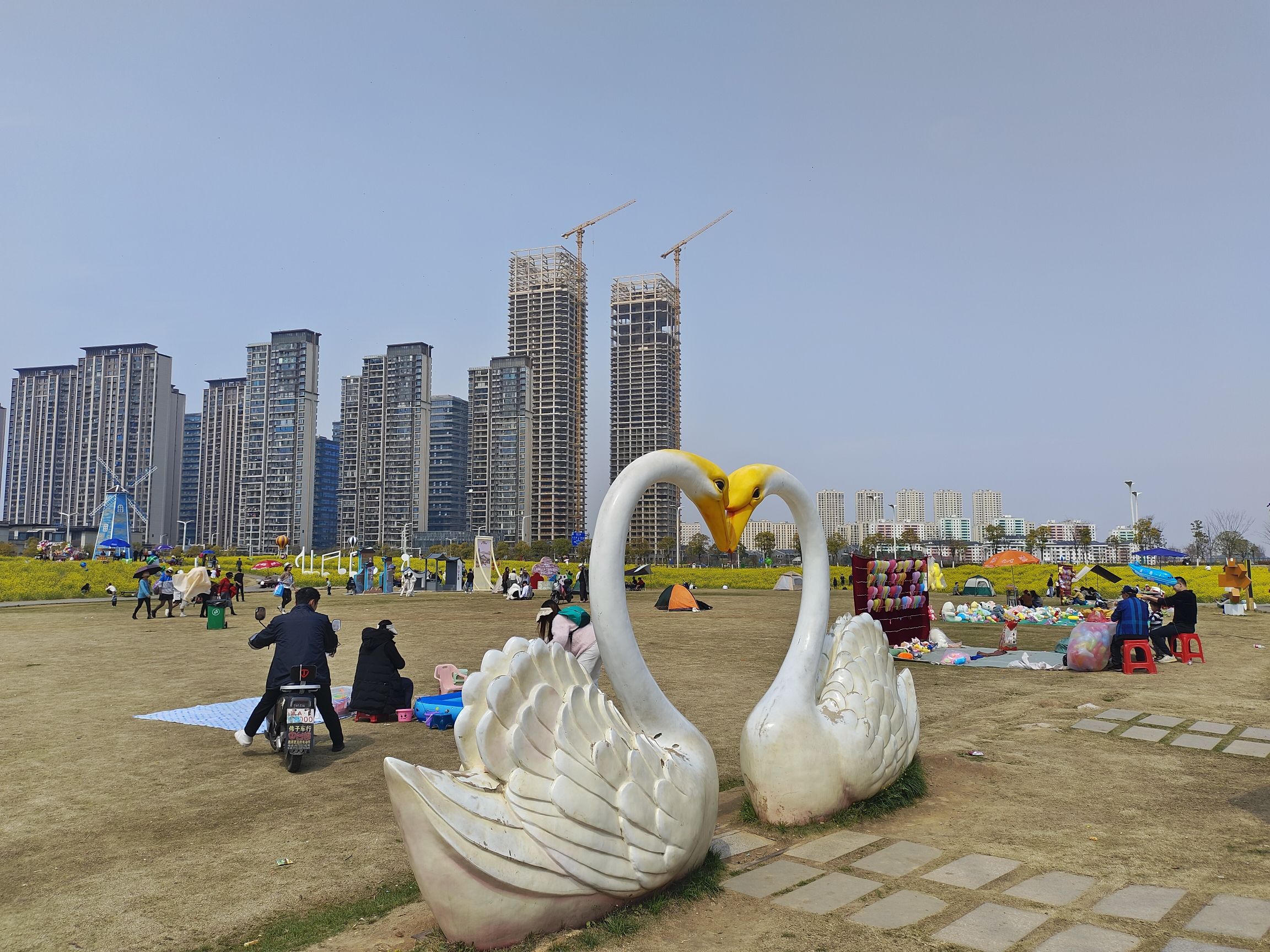 马兰圩湿地公园旅行图片 2