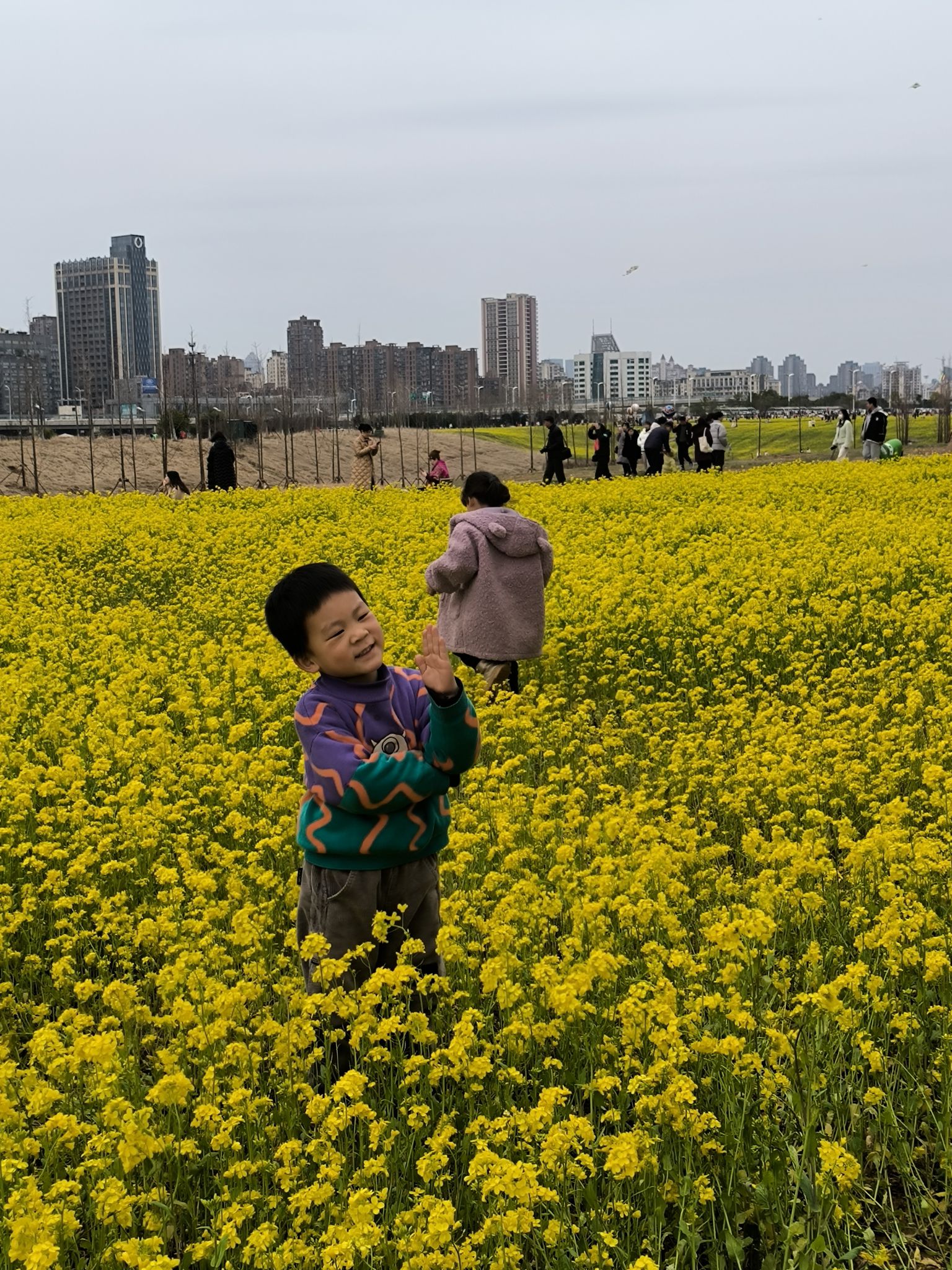 马兰圩湿地公园旅行图片 1