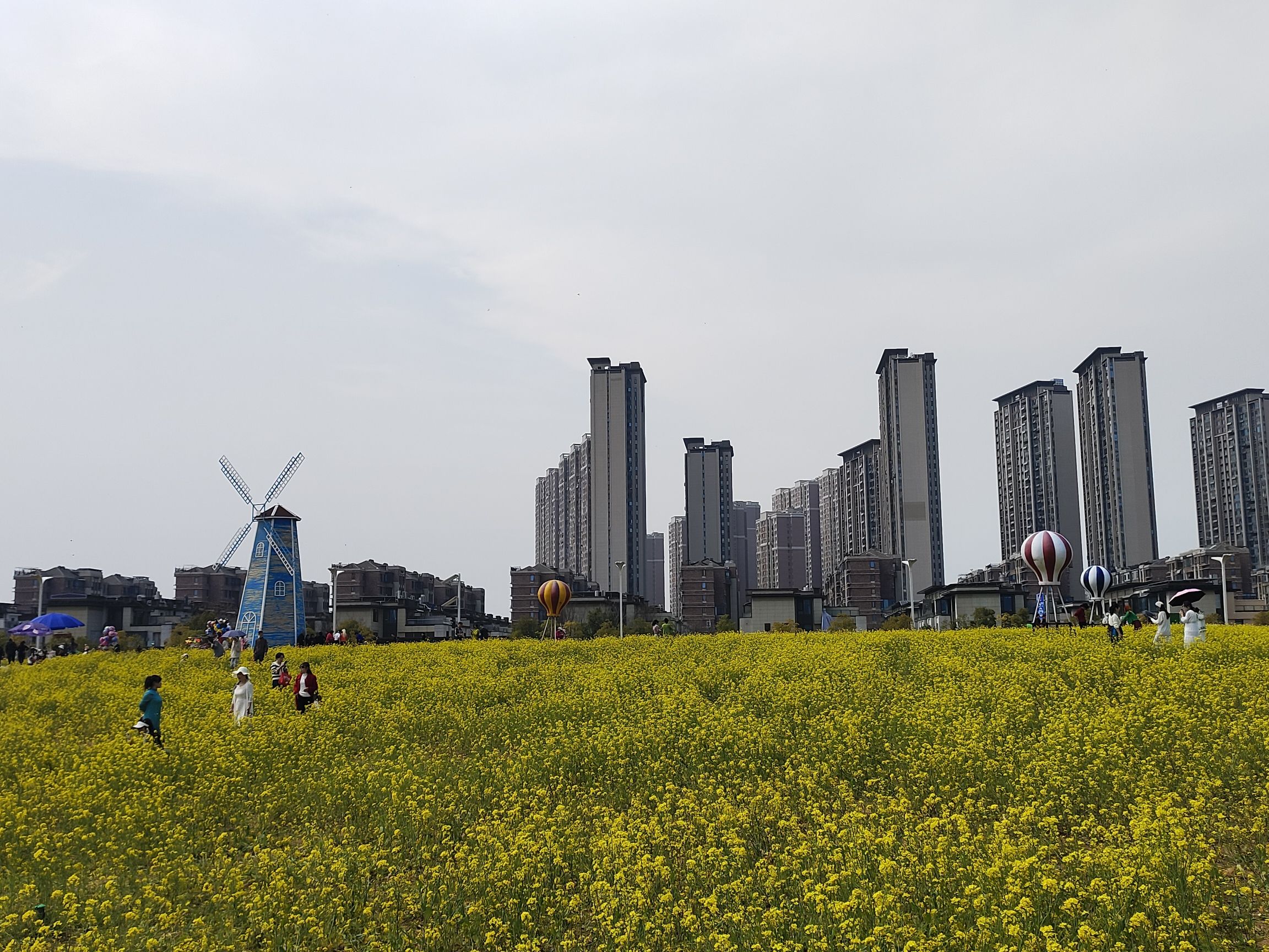 马兰圩湿地公园旅行图片 3