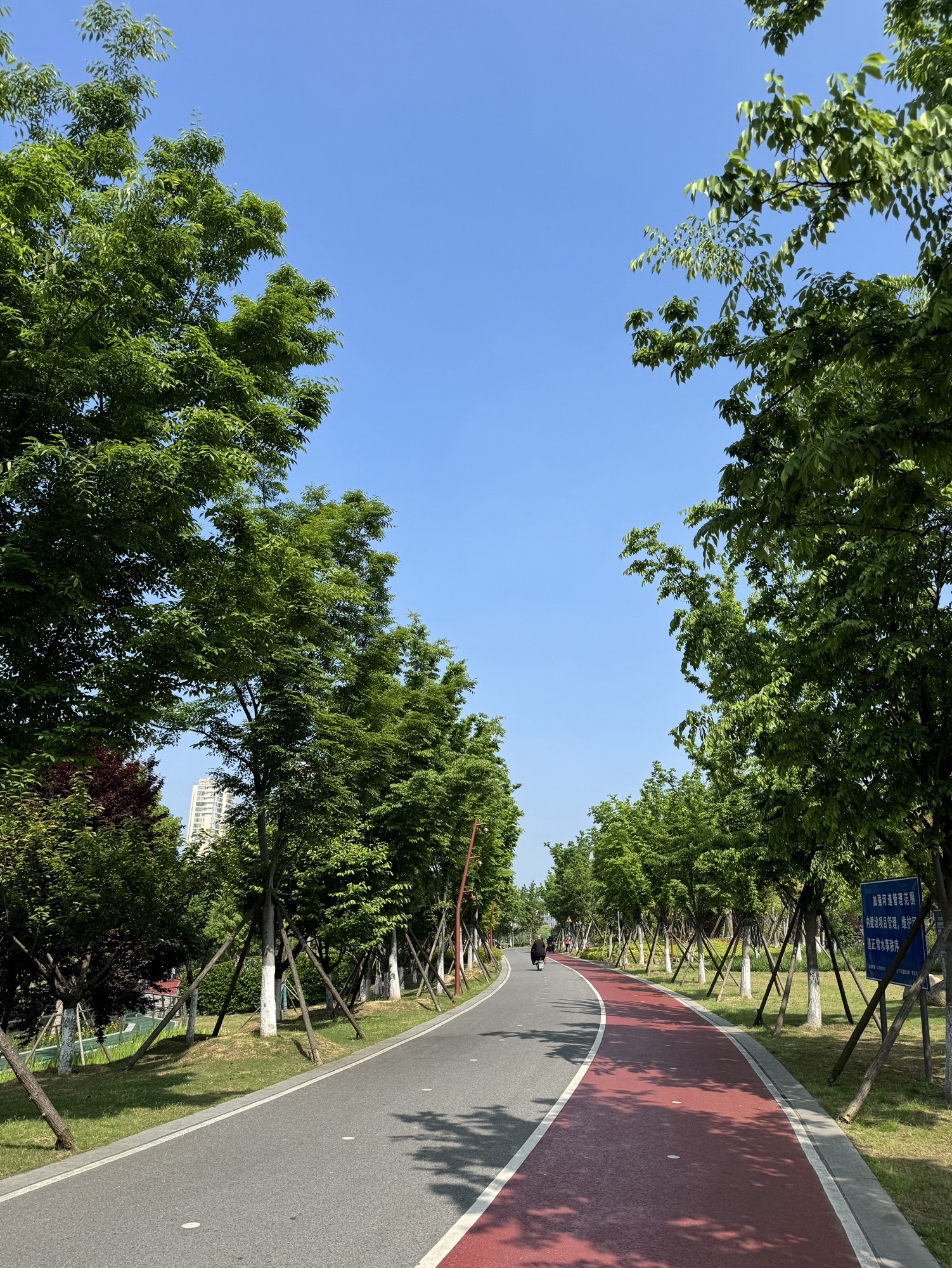 江宁开发区滨河体育公园旅行图片 3