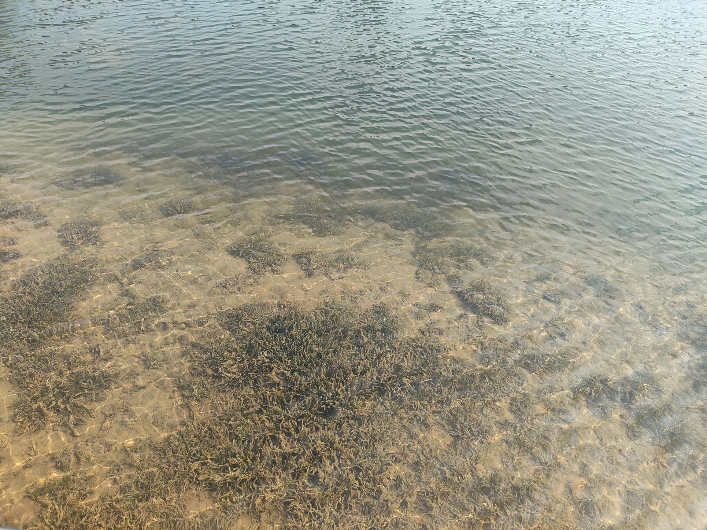 星海湖禁毒主题公园旅行图片 3