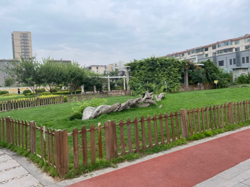 紫藤公园旅行图片 2