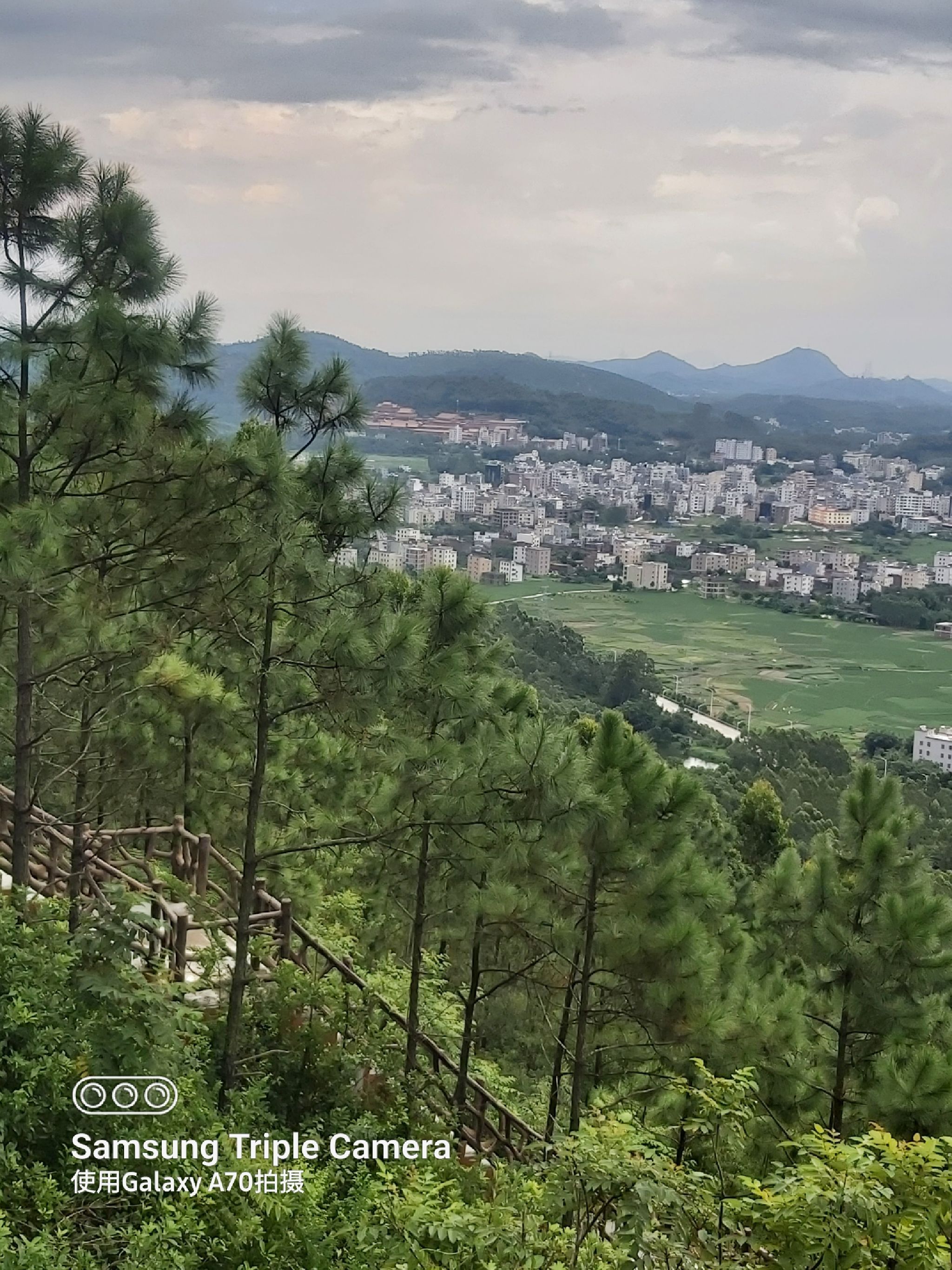 石龙山森林公园旅行图片 2
