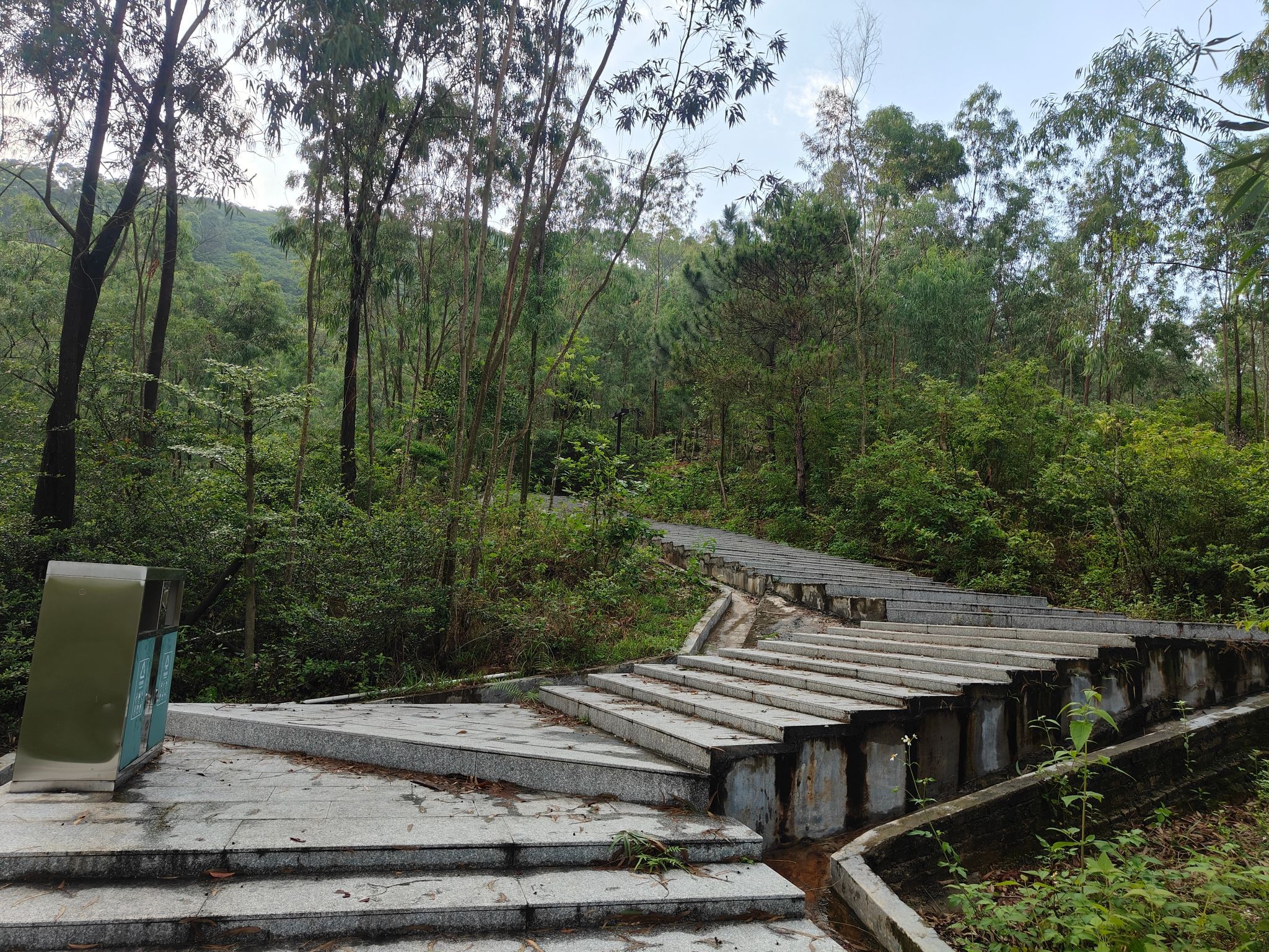 石龙山森林公园旅行图片 3
