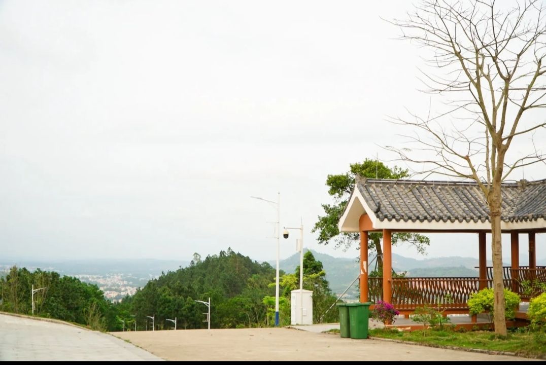石龙山森林公园旅行图片 2