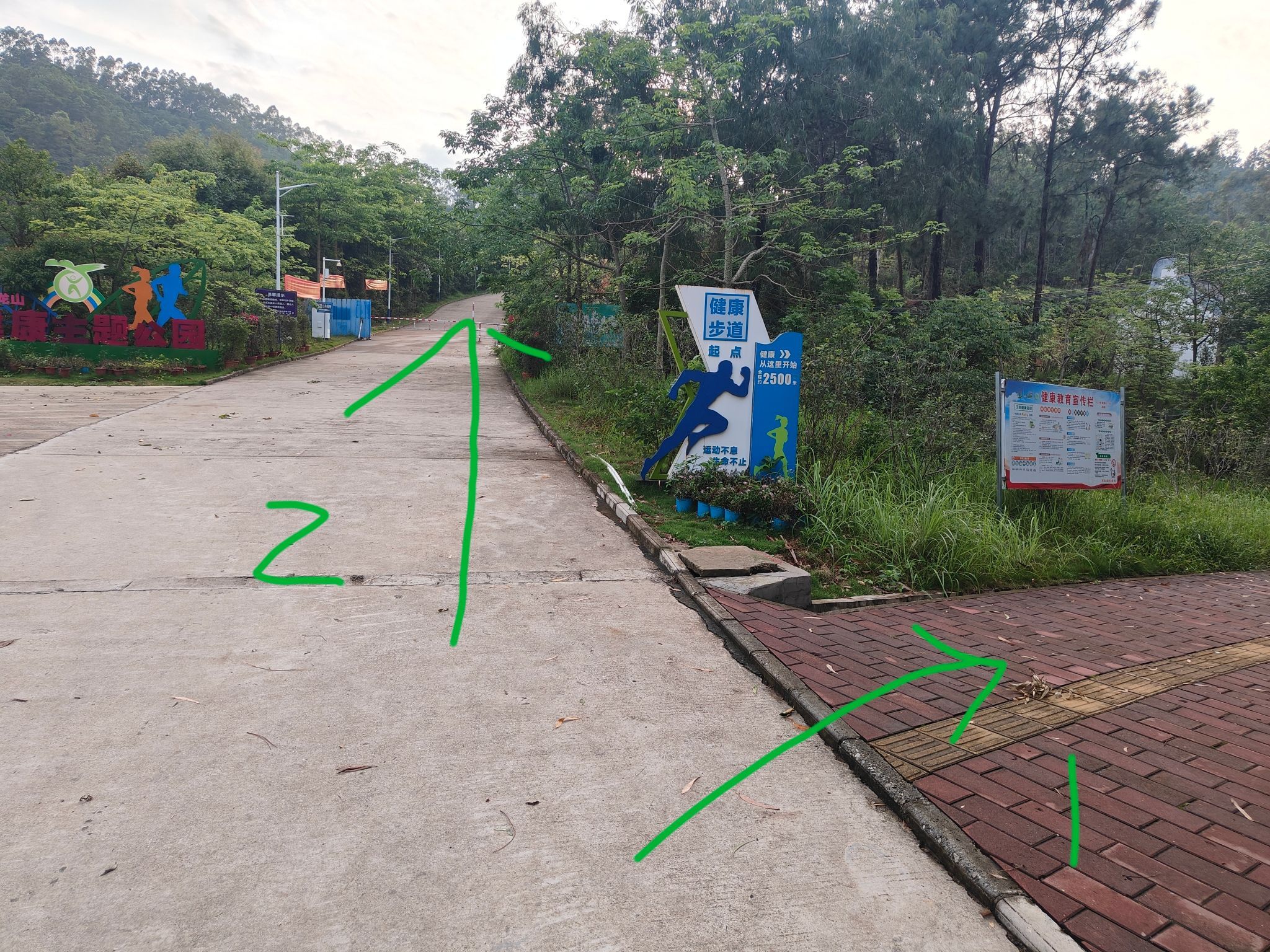 石龙山森林公园旅行图片 1